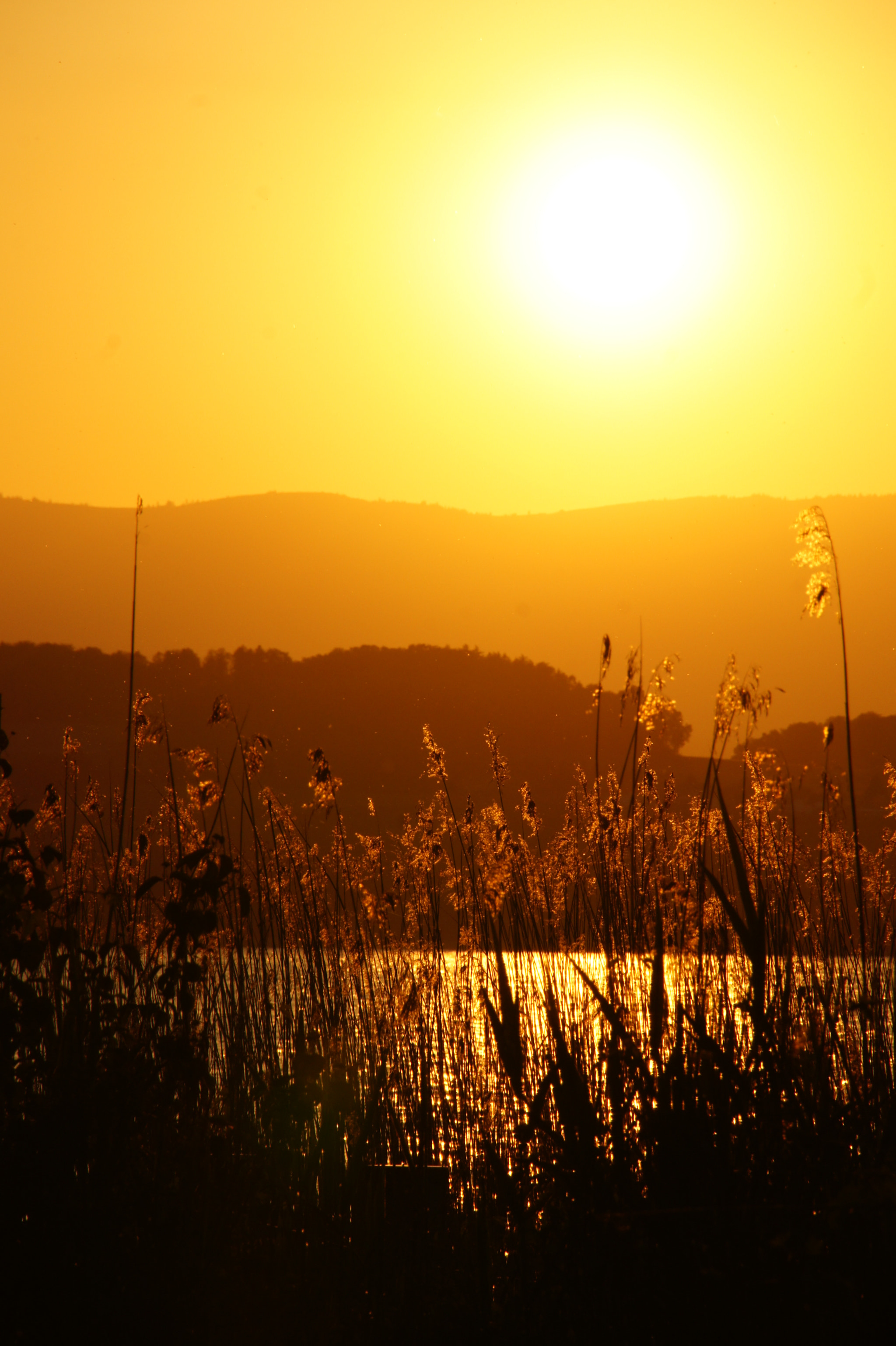 Sony Alpha DSLR-A550 sample photo. Sunset over the murten lake (switzerland) photography