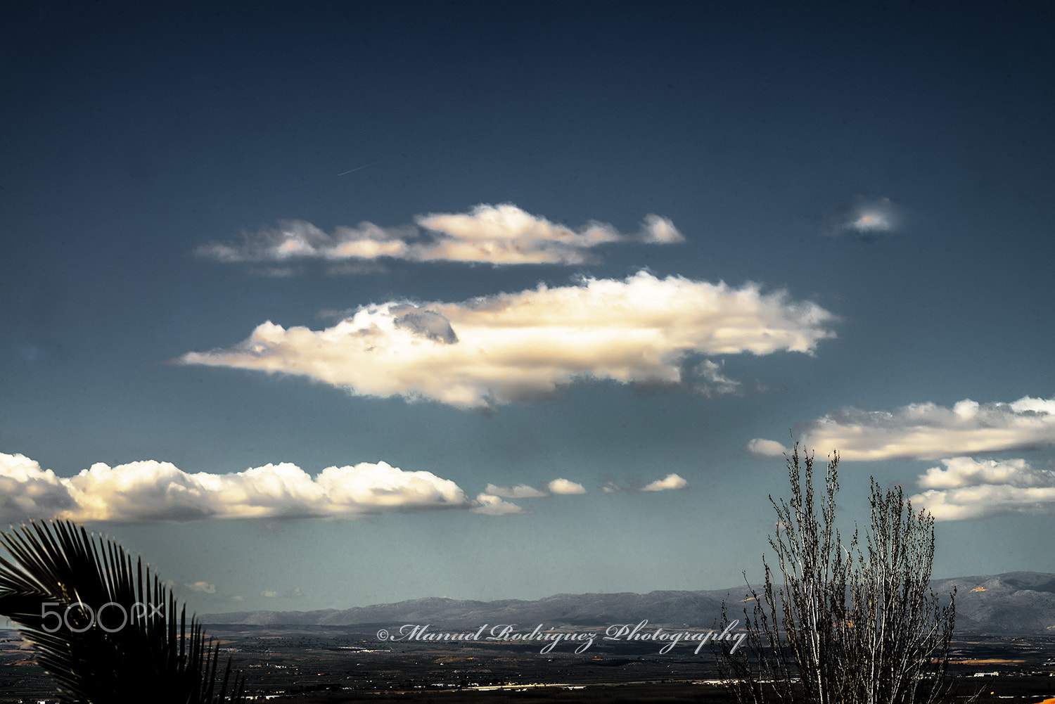 Sigma 120-400mm F4.5-5.6 DG OS HSM sample photo. Manuel rodriguez garcia photography