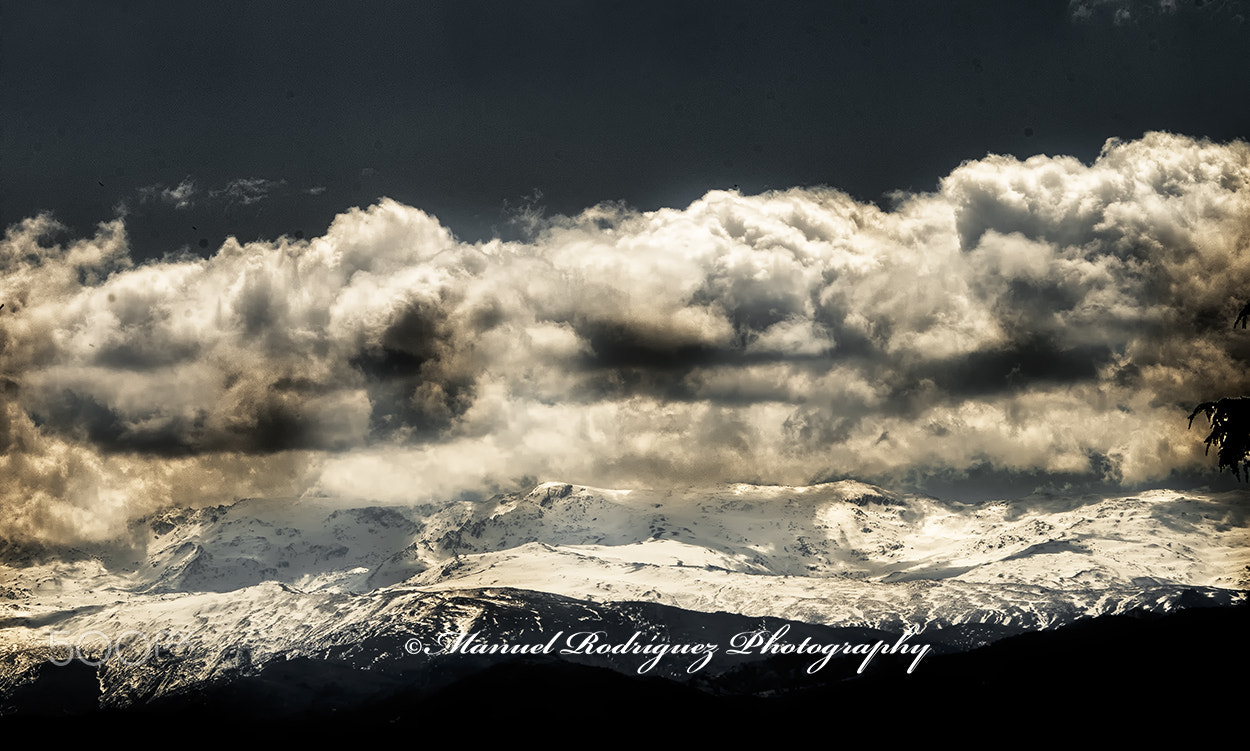 Sigma 120-400mm F4.5-5.6 DG OS HSM sample photo. Manuel rodriguez garcia photography