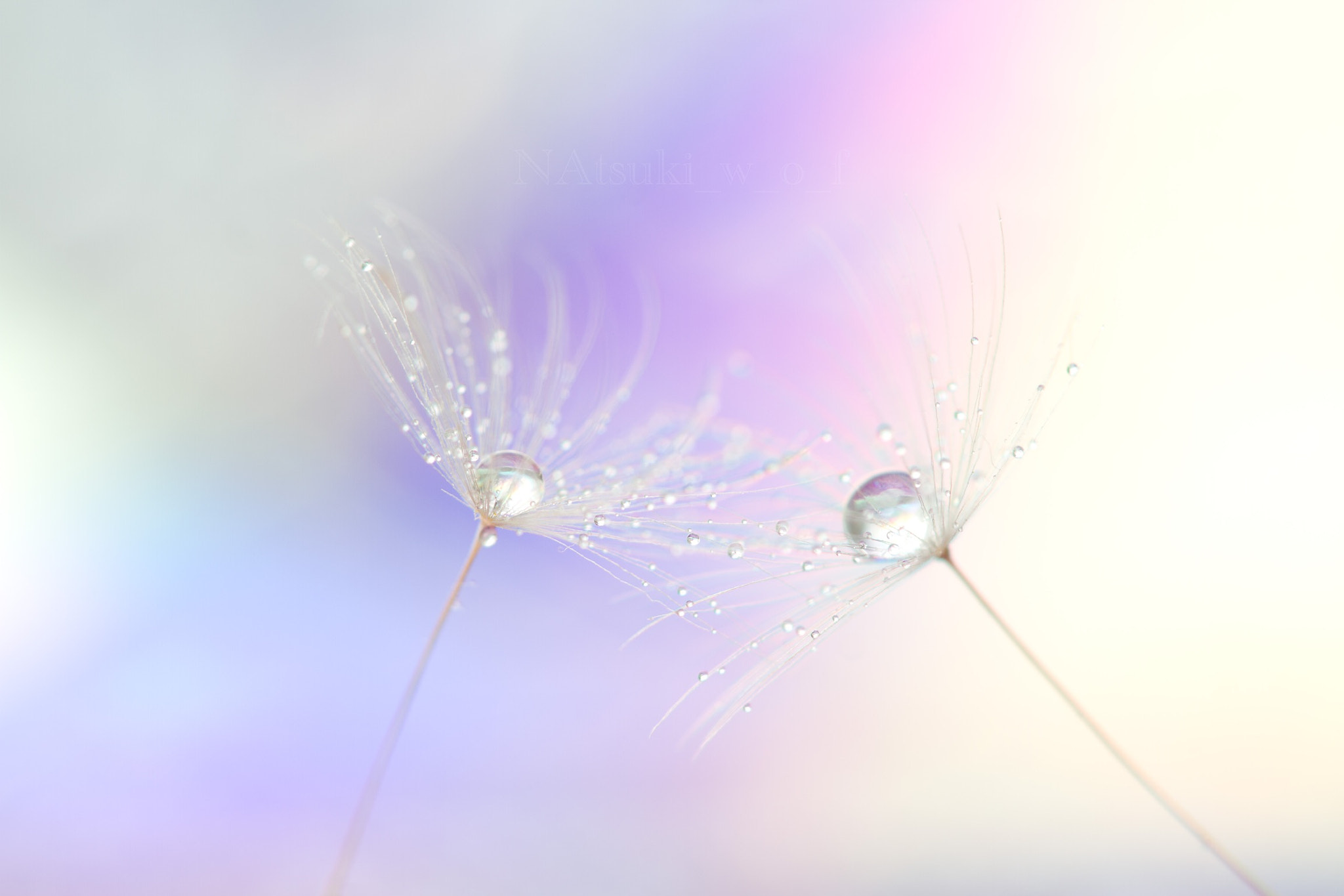 Tamron SP AF 180mm F3.5 Di LD (IF) Macro sample photo. Beautiful world photography