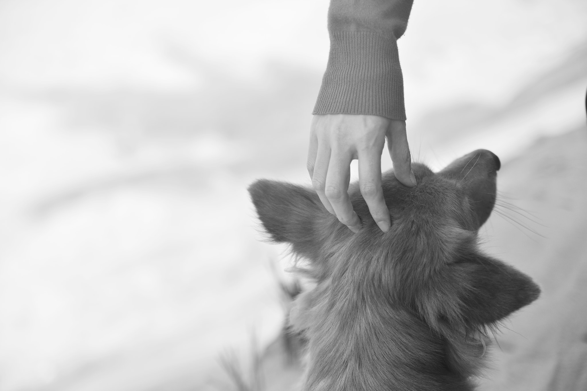 Nikon Df sample photo. Peace of mind photography
