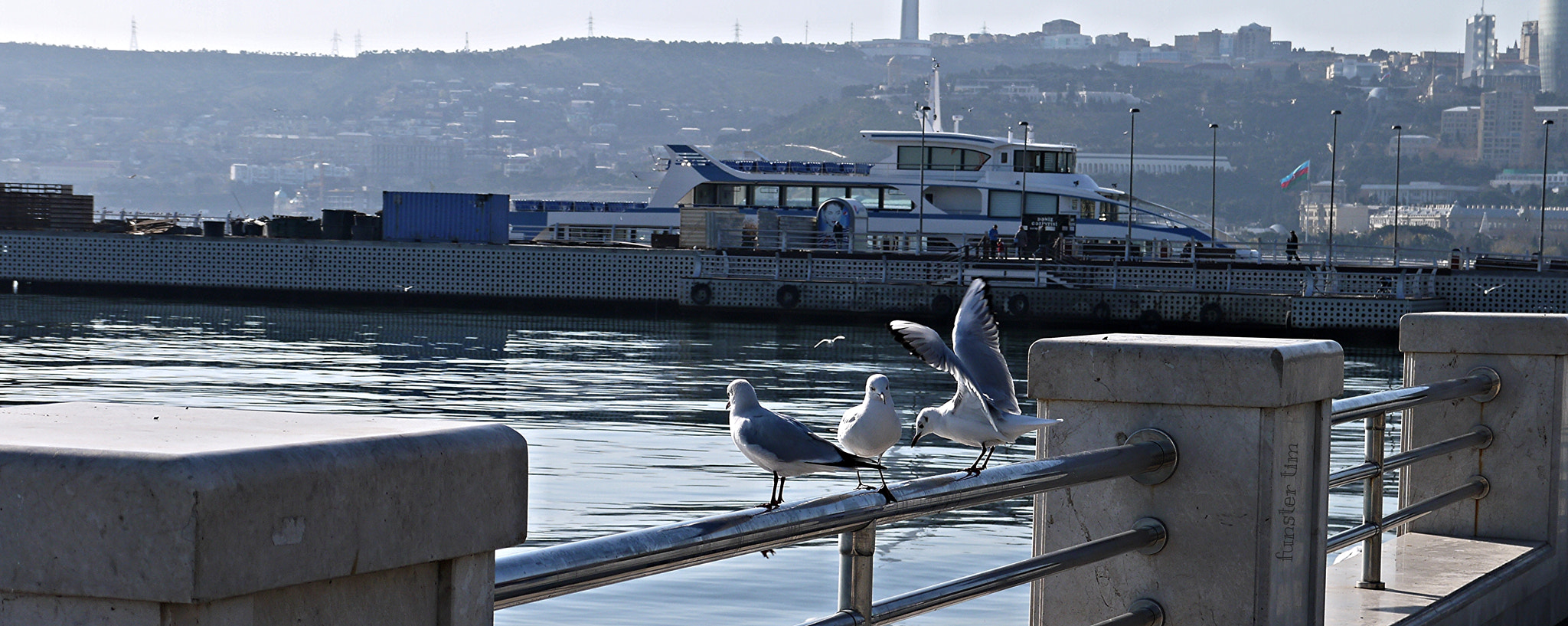 O 14-42mm F3.5-5.6 sample photo. Boulevard baku photography