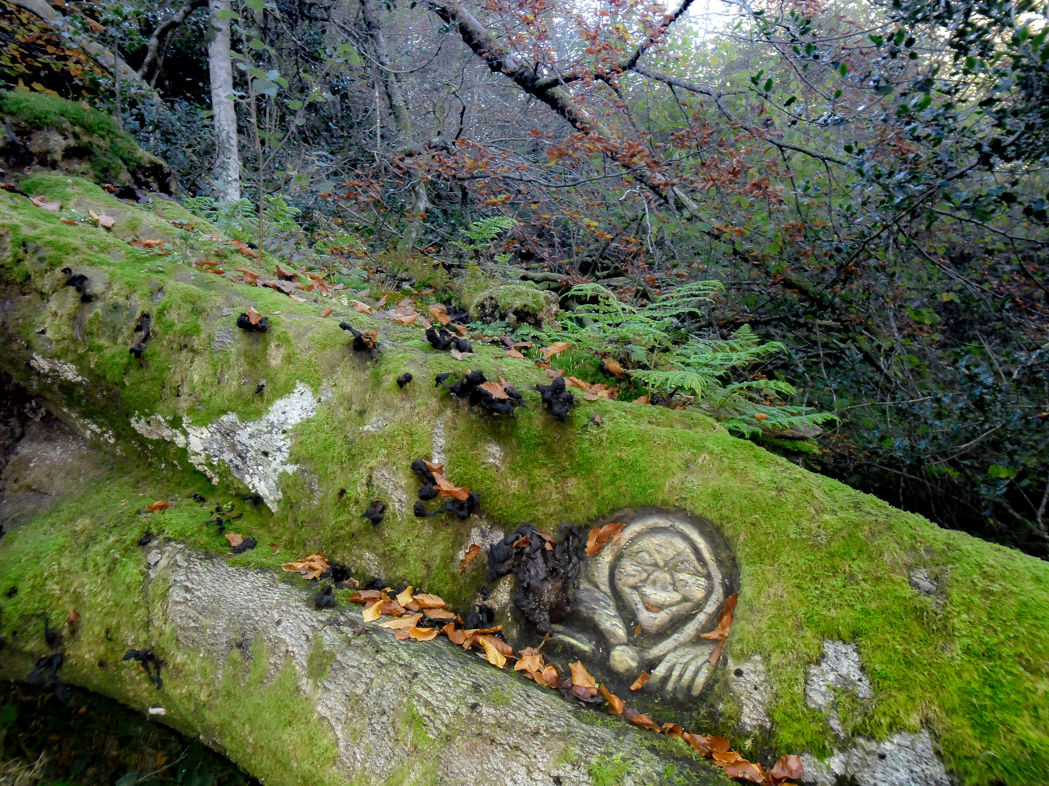 Samsung ES80/ ES81 sample photo. Goblin of biescona/trasgu de biescona. photography