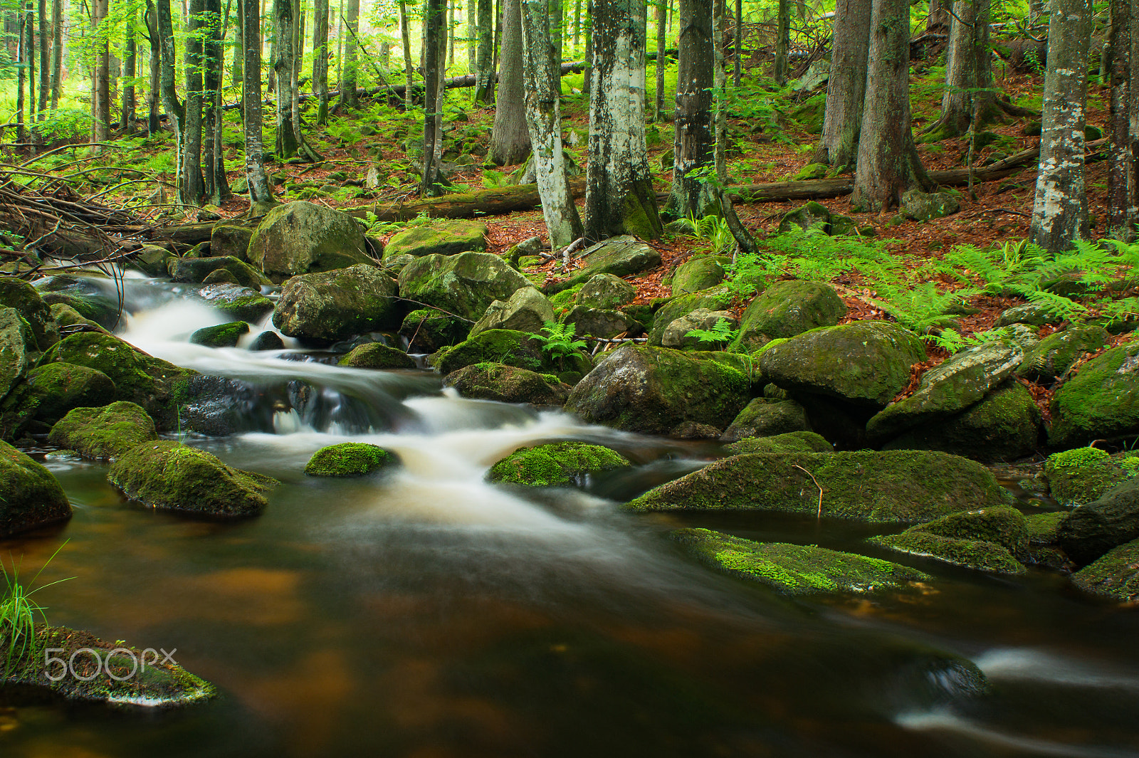 Sony DT 18-70mm F3.5-5.6 sample photo. A small creek in the bavarian forest ii photography