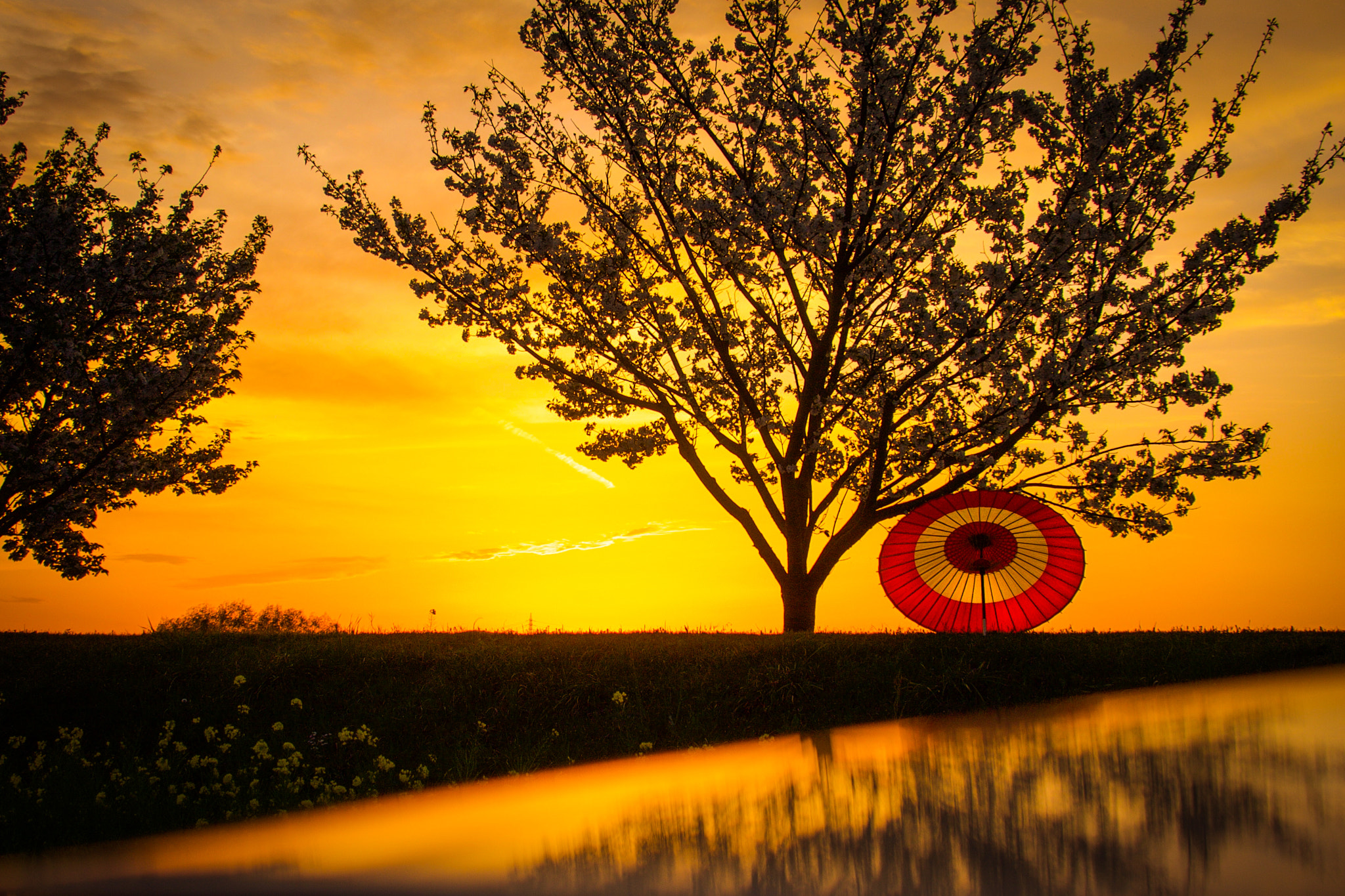 Canon EF 35-350mm F3.5-5.6L USM sample photo. Tarde de primavera photography