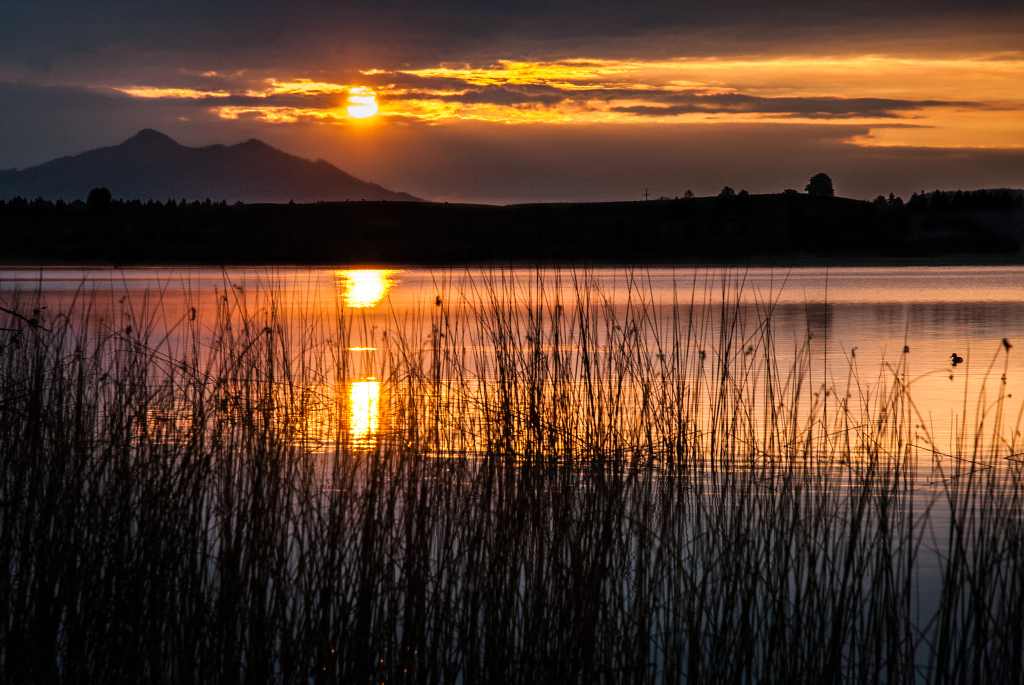 Nikon D40X sample photo. Lake photography