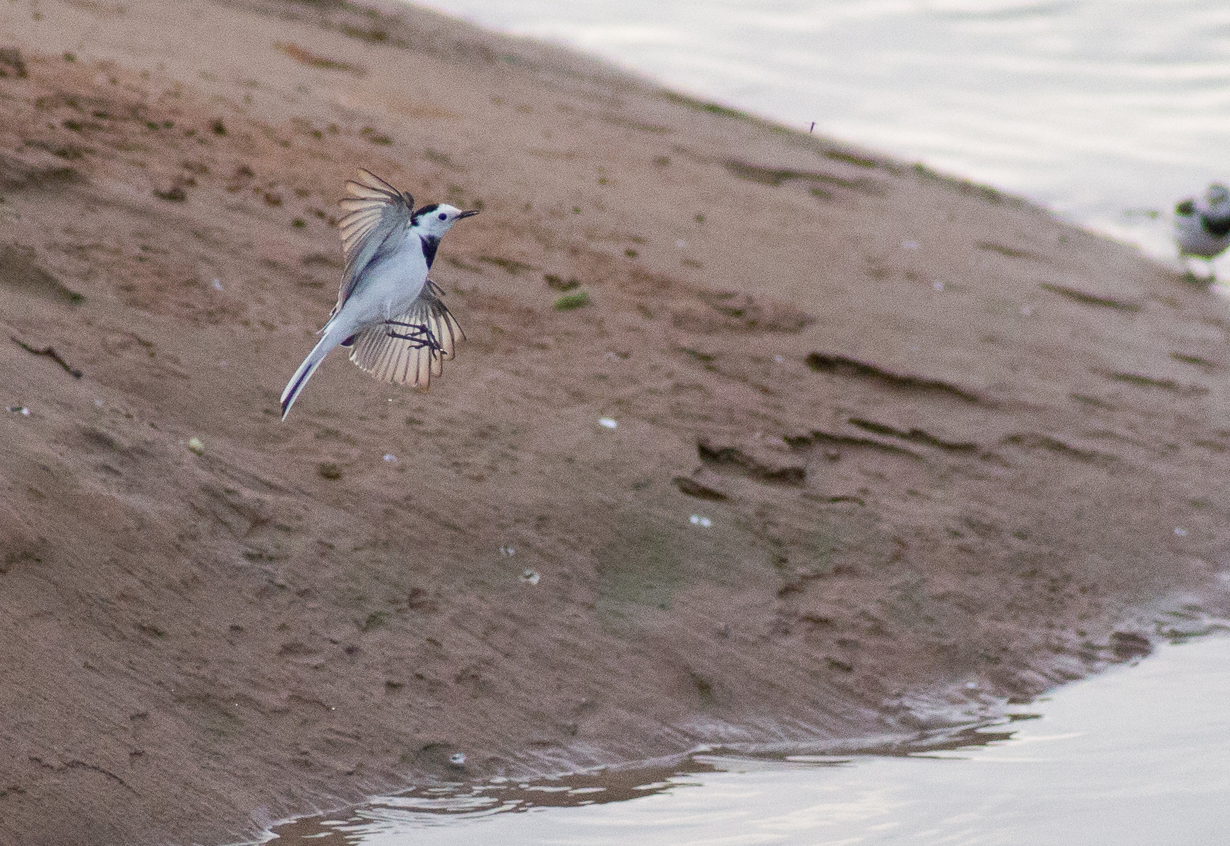Canon EF 70-210mm f/3.5-4.5 USM sample photo