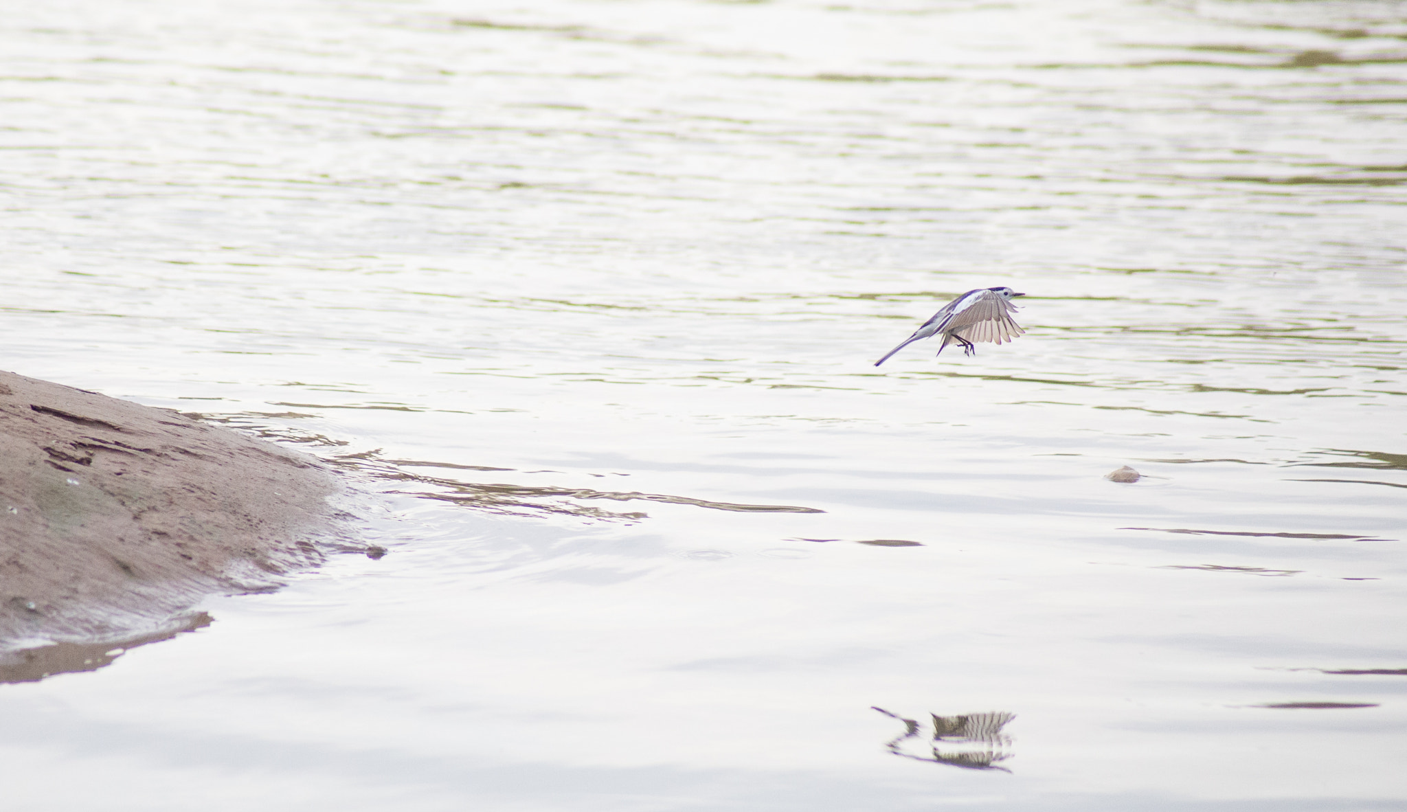 Canon EF 70-210mm f/3.5-4.5 USM sample photo