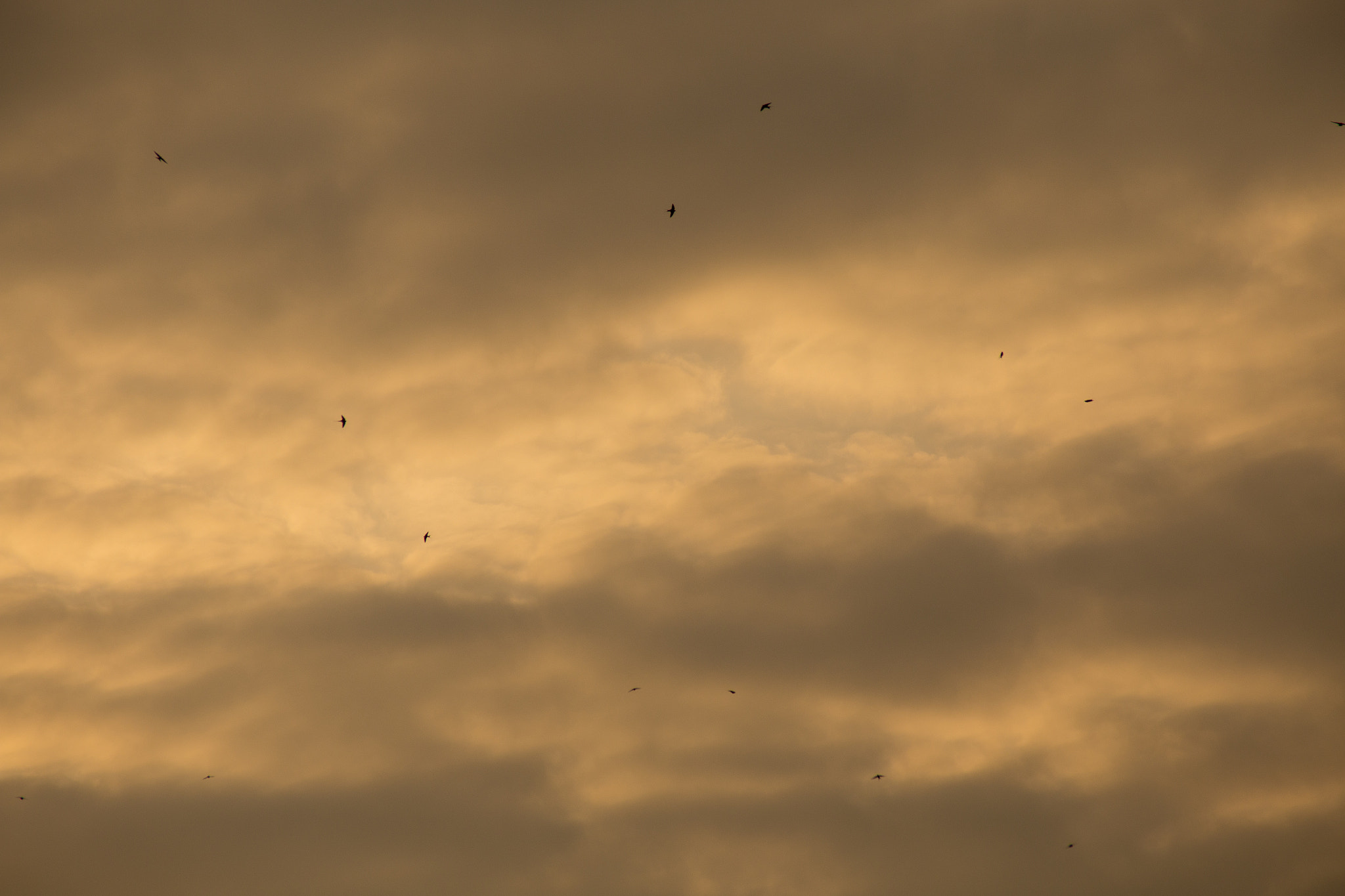 Canon EF 70-210mm f/3.5-4.5 USM sample photo