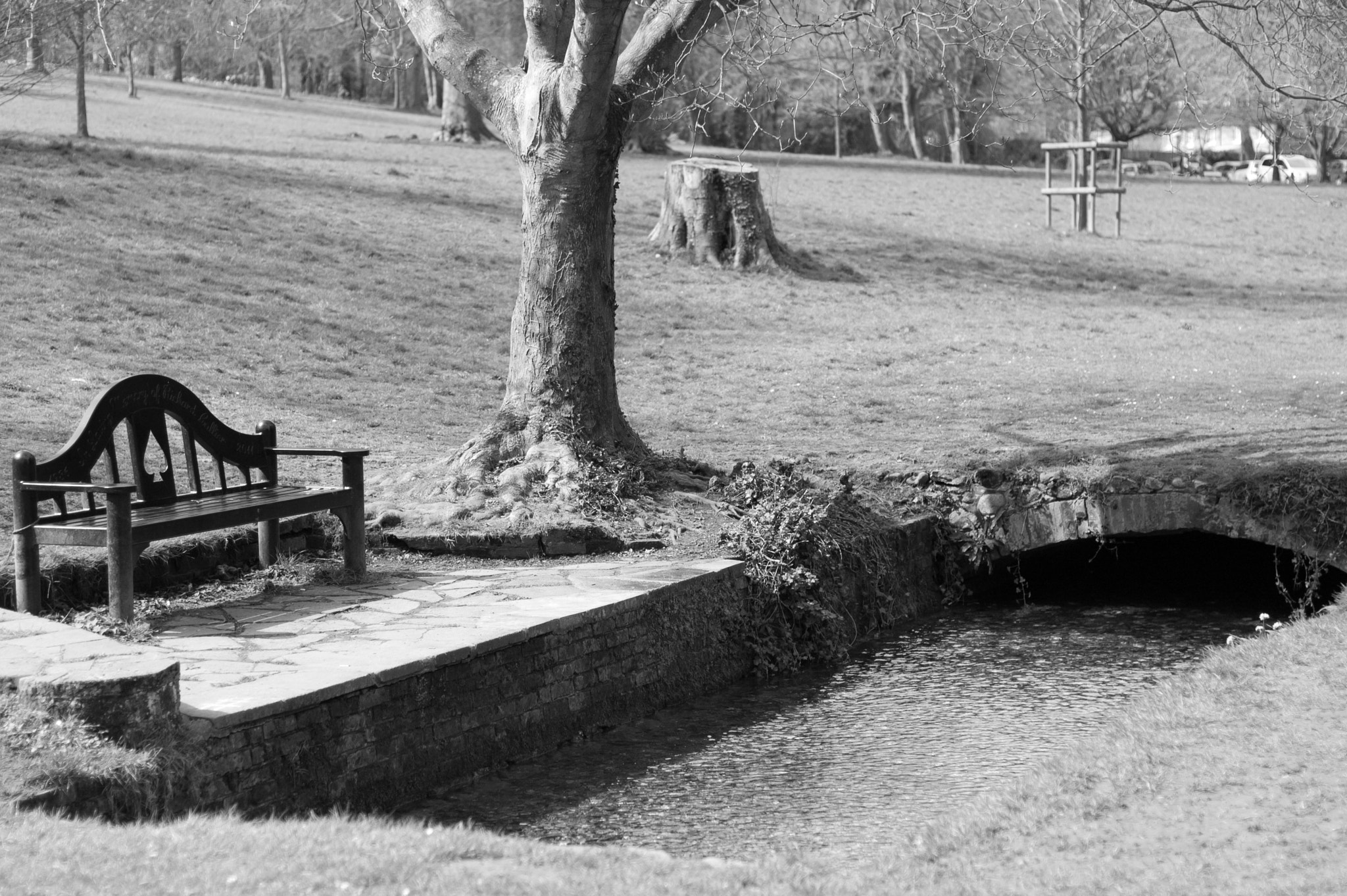 Nikon D70s + Nikon AF Nikkor 50mm F1.8D sample photo. Memorial bench by the river photography