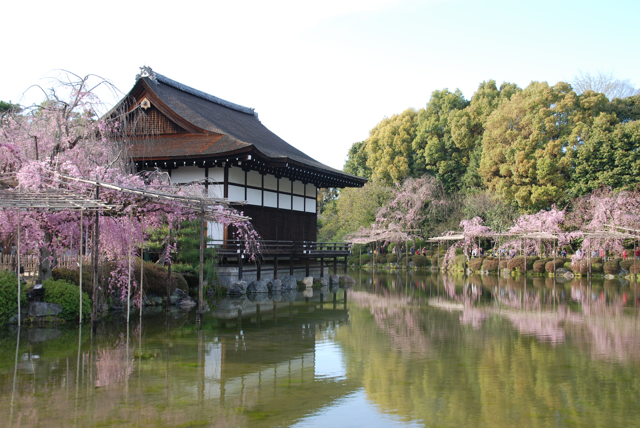 Nikon D80 + Sigma 18-200mm F3.5-6.3 DC sample photo. Sakura japanese garden photography