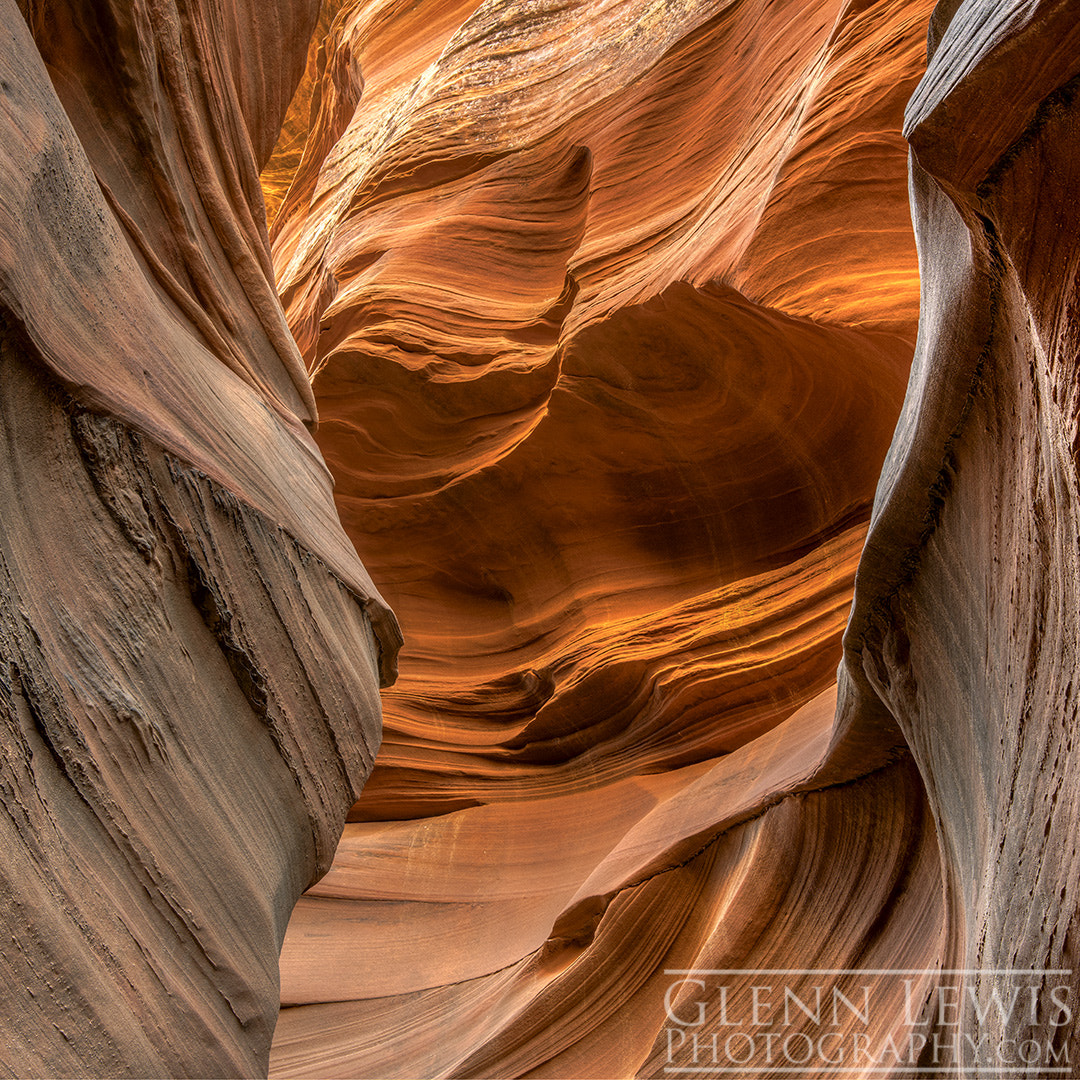 Sony a7R II + Canon EF 17-40mm F4L USM sample photo. Mountain sheep canyon 1 photography