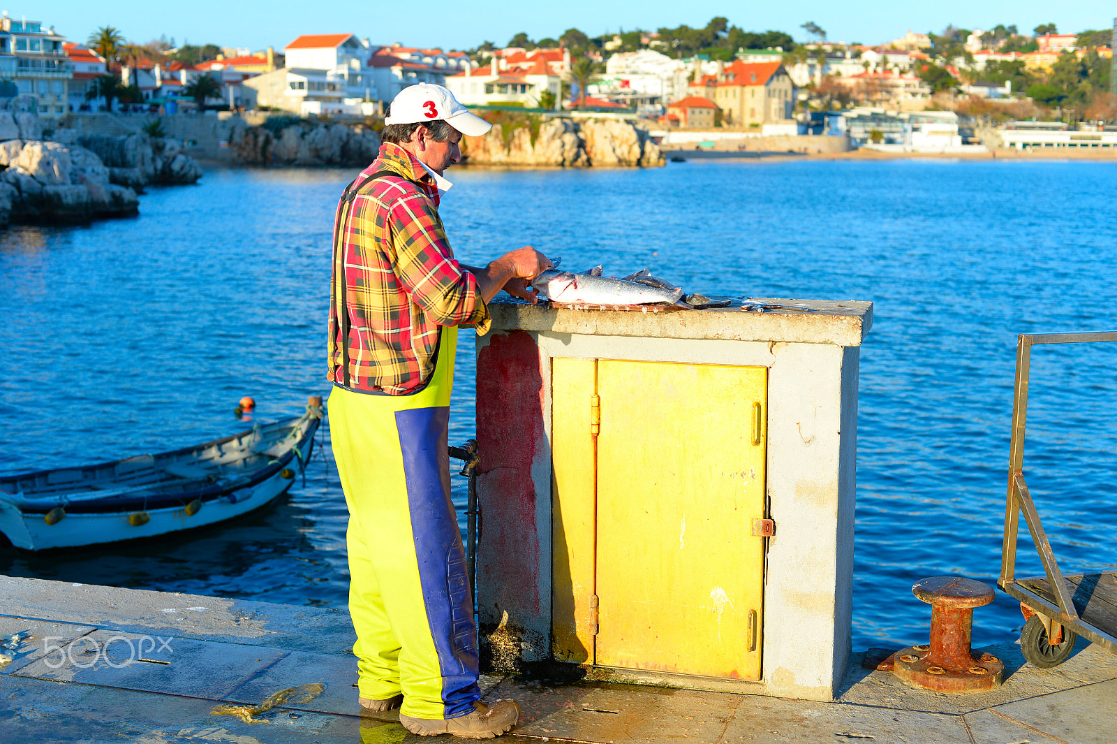 Nikon Df + Nikon AF Nikkor 50mm F1.4D sample photo. Fisherman cleaning fish photography
