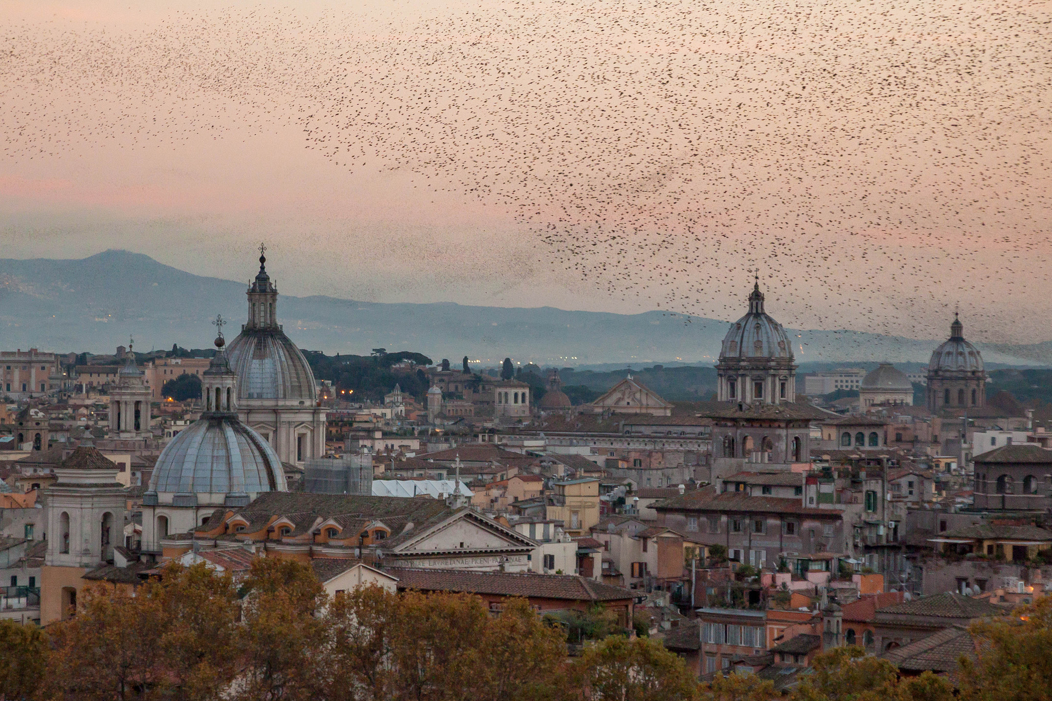 Canon EOS 500D (EOS Rebel T1i / EOS Kiss X3) sample photo. Birds swarming rome photography