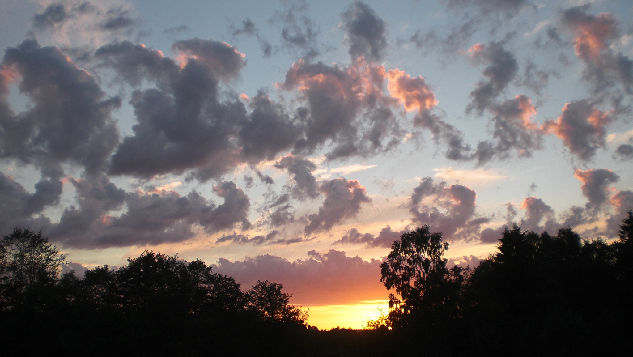CASIO EX-Z8 sample photo. Pretty sunset photography