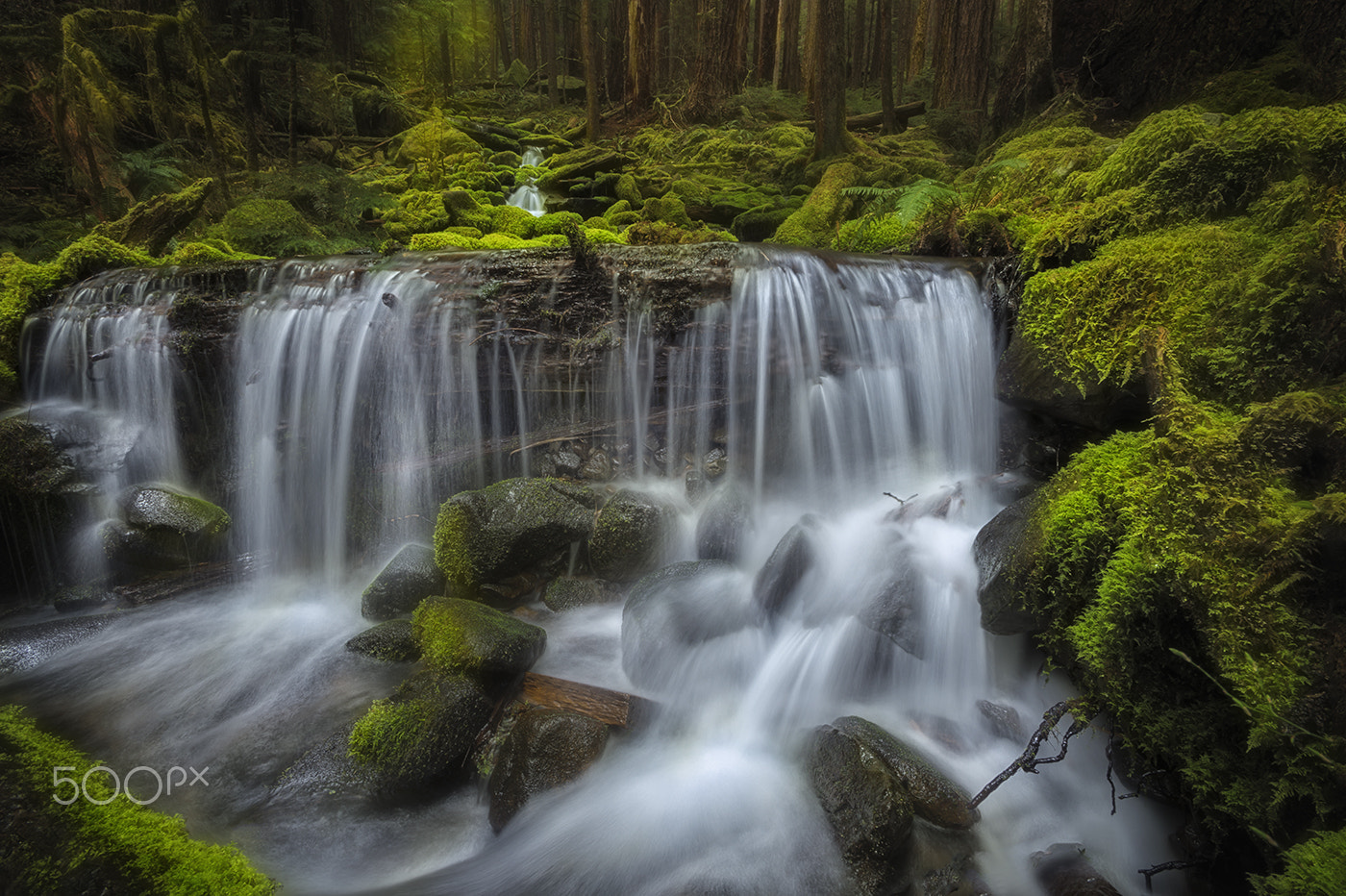 Nikon AF-S Nikkor 17-35mm F2.8D ED-IF sample photo. Sol duc falls, olympic np, wa photography