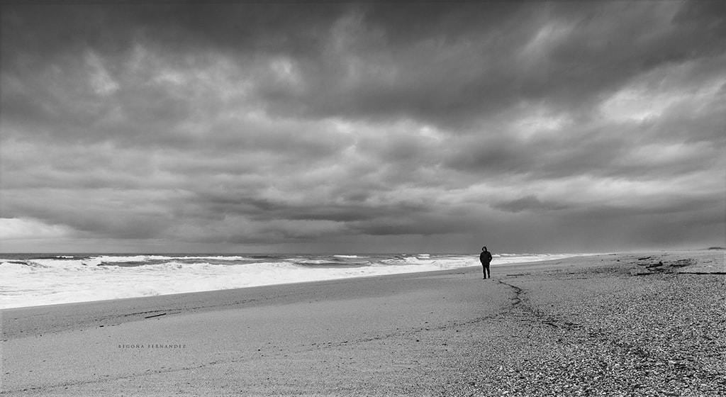 Canon EF-S 10-22mm F3.5-4.5 USM sample photo. Soledad photography