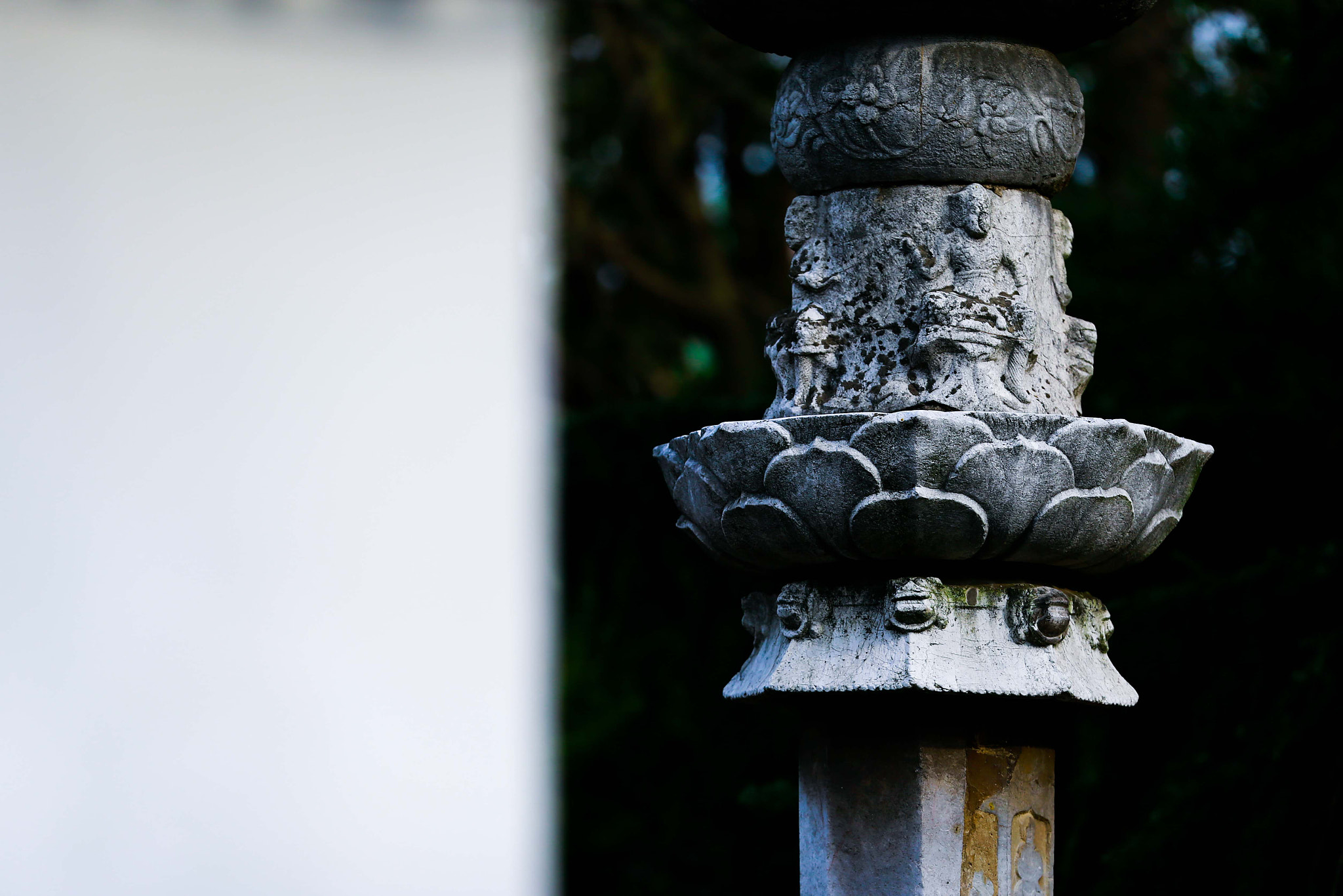 Canon EOS-1D X + Canon EF 200mm F2L IS USM sample photo