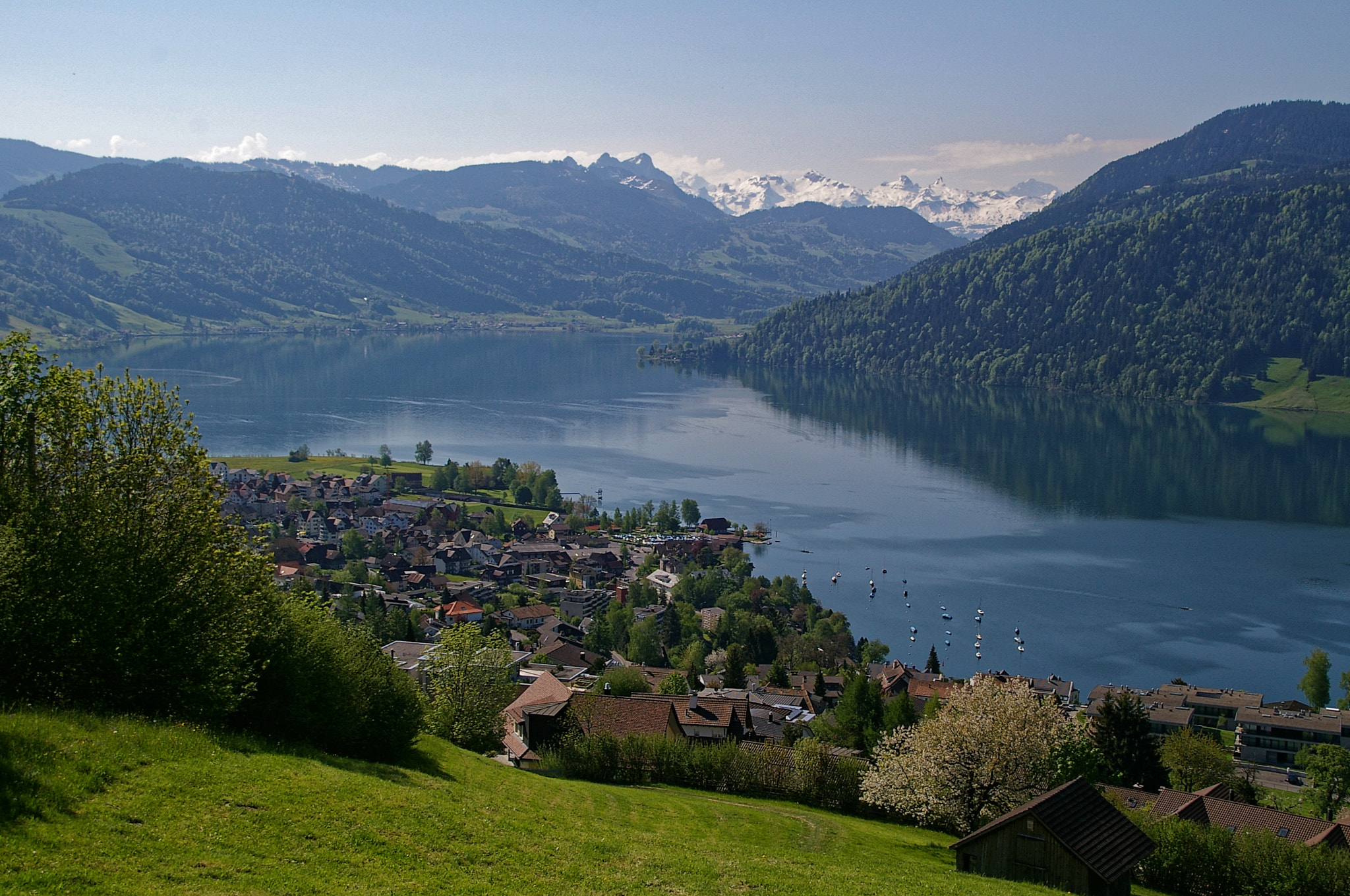 Sigma Lens (3 255) sample photo. Ägerisee photography