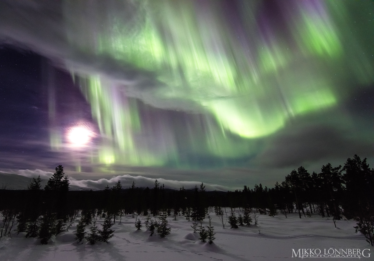 Canon EOS 5DS R + Canon EF 300mm f/2.8L sample photo. Auroras night photography