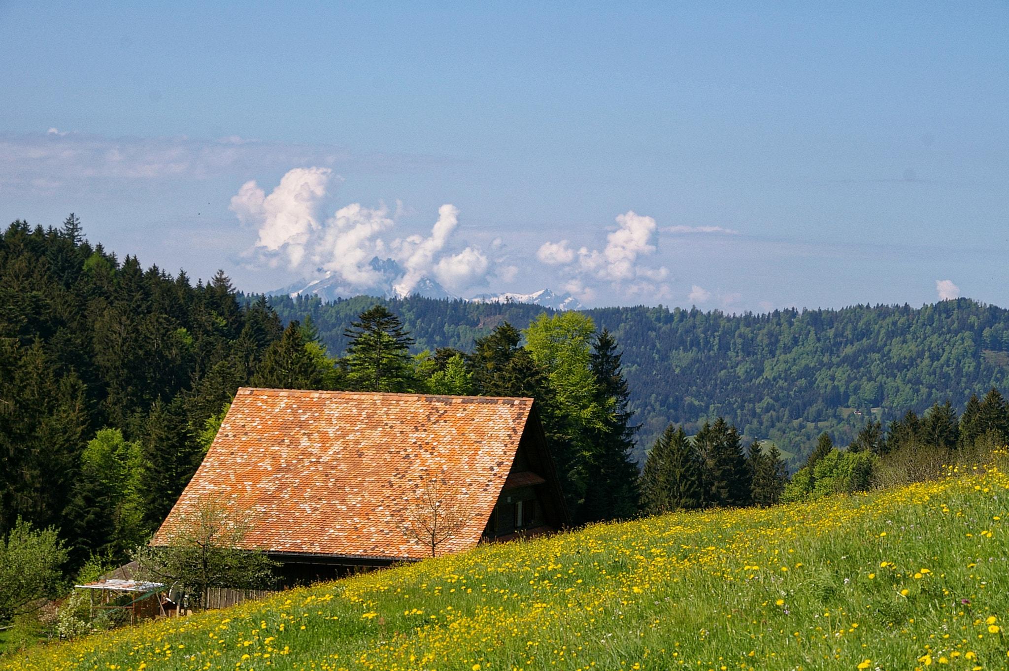 Sigma Lens (3 255) sample photo. Panoramaweg Ägerital photography