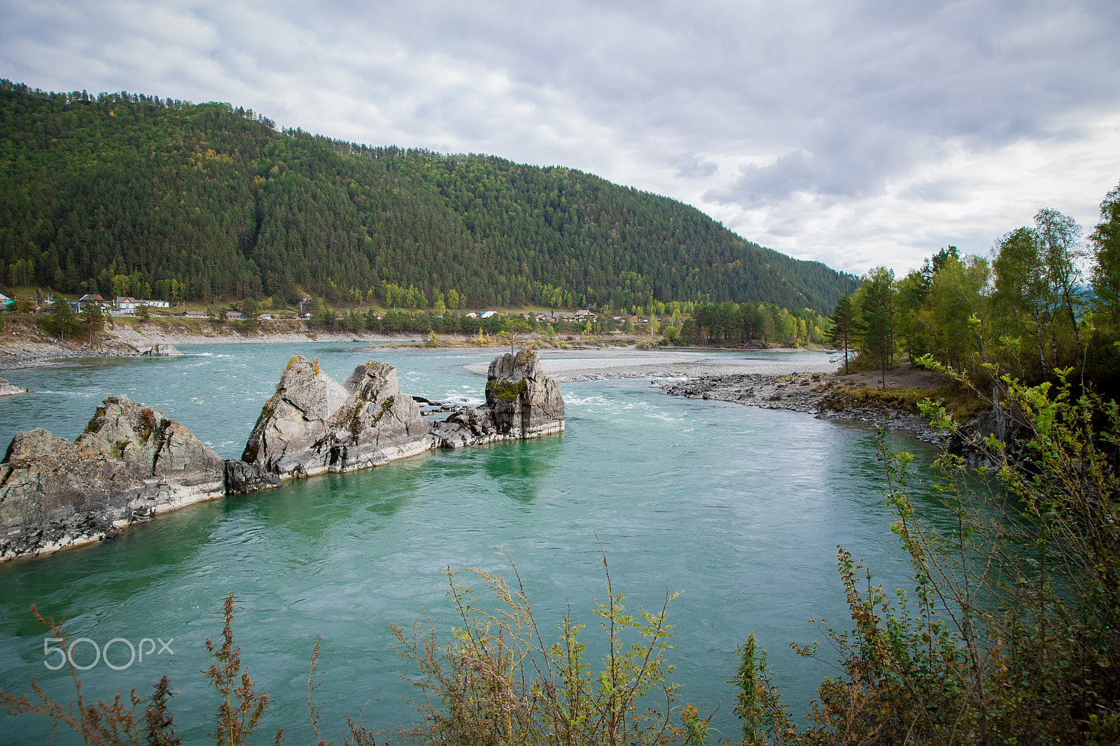 Nikon D600 sample photo. Katun river photography