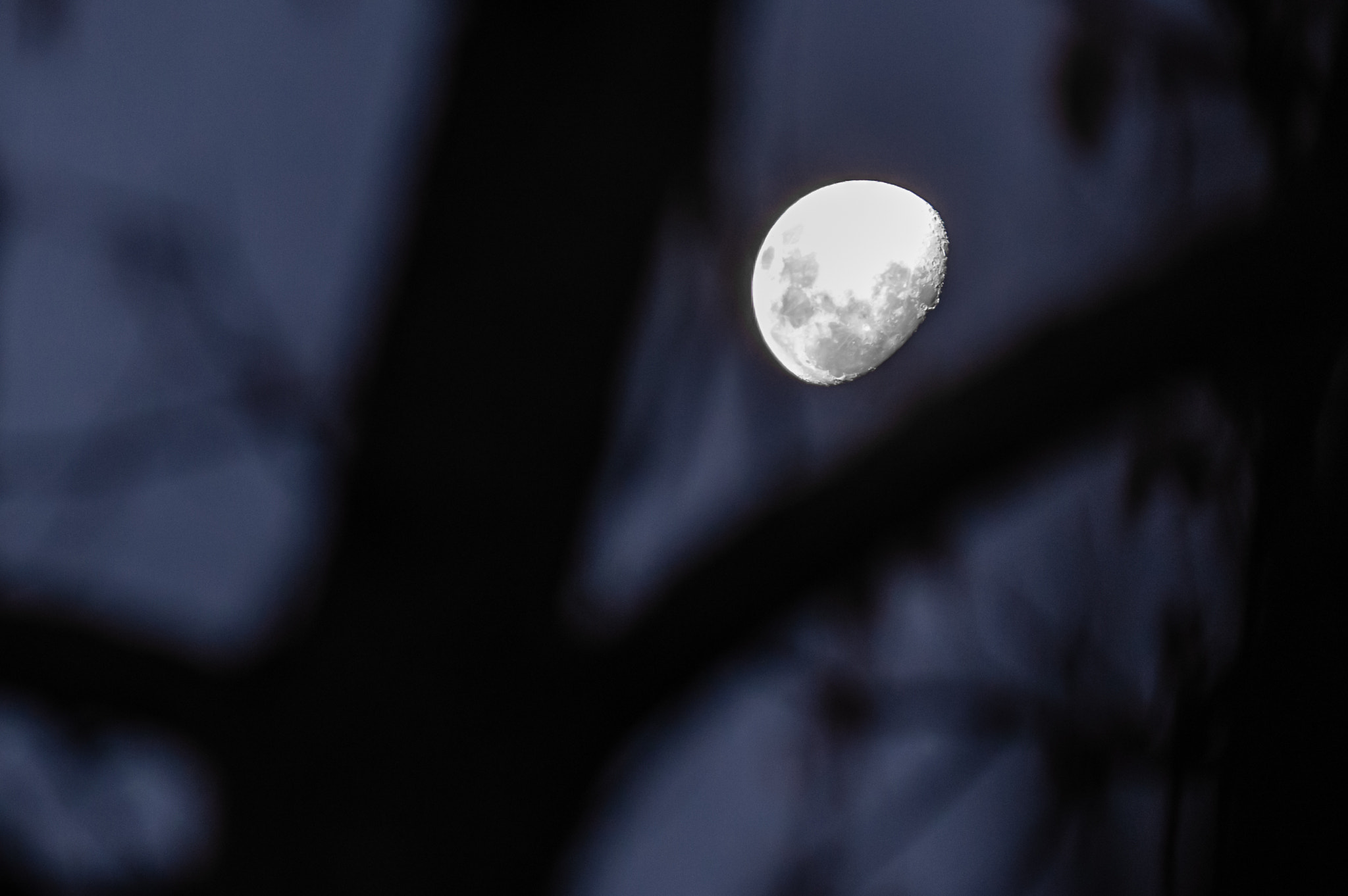 Pentax K-3 sample photo. Deepest blues are black photography