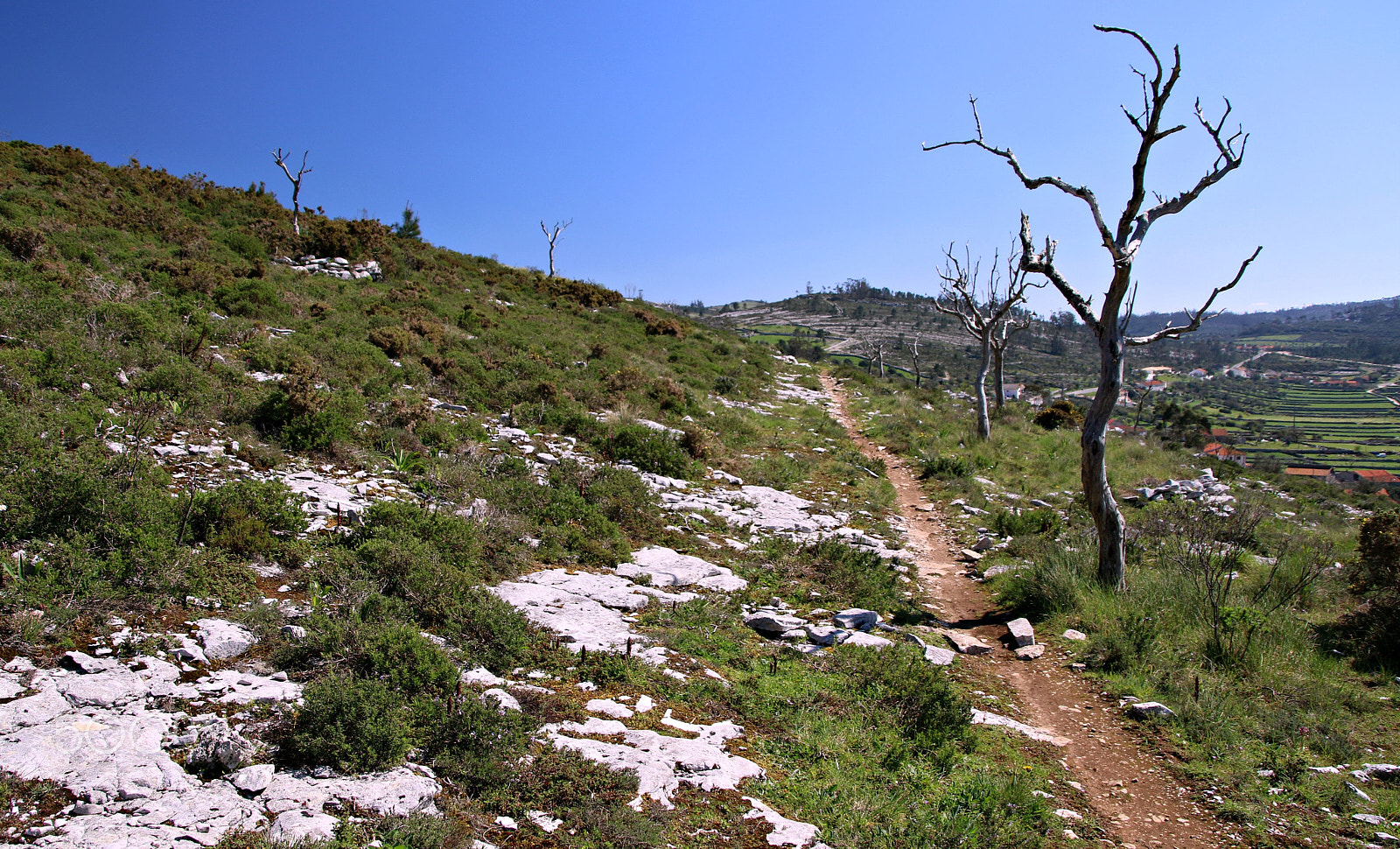 Canon TS-E 90mm F2.8 Tilt-Shift sample photo. Hiking photography