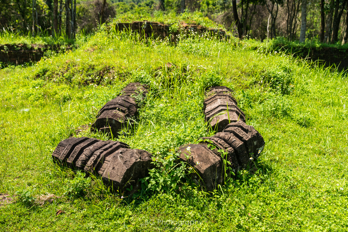 Sony a7 + Canon EF 85mm F1.2L II USM sample photo. Myson sanctuary. photography