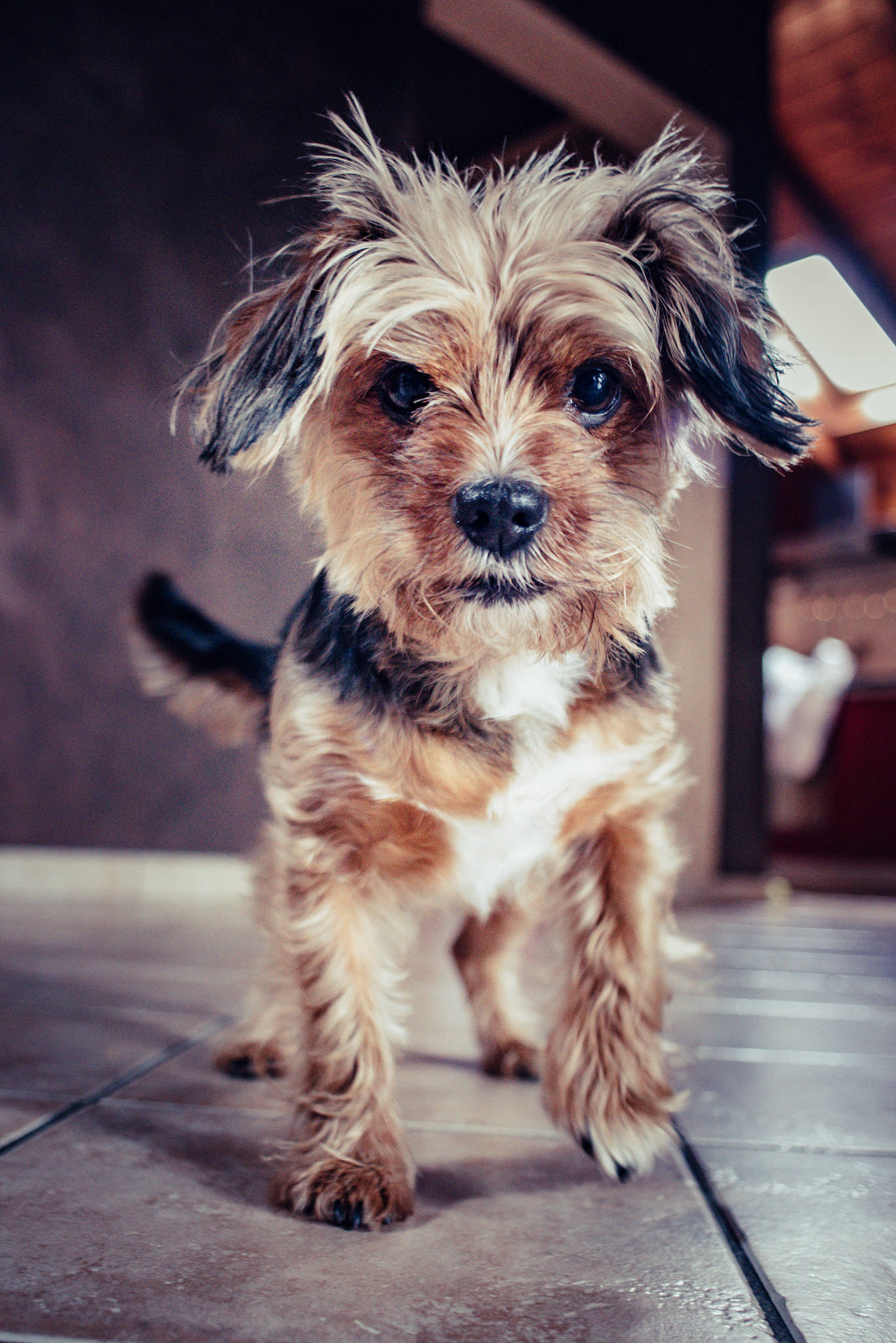 Nikon D750 + AF Nikkor 24mm f/2.8 sample photo. Jigen photography