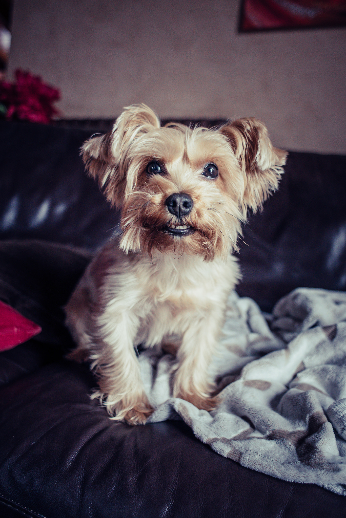 Nikon D750 + AF Nikkor 24mm f/2.8 sample photo. Lana photography