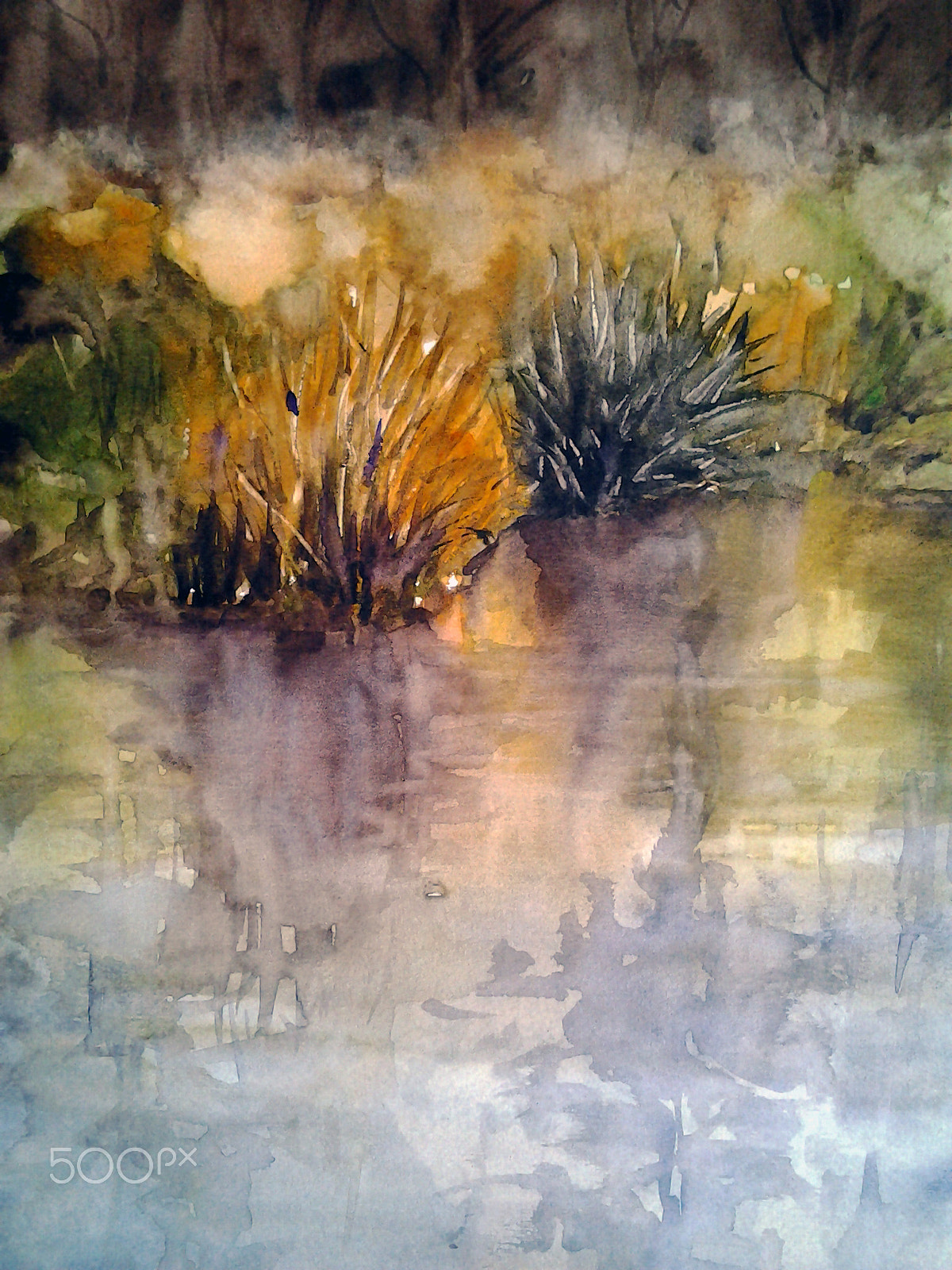 Samsung Galaxy Tab 10.1 sample photo. Pond photography