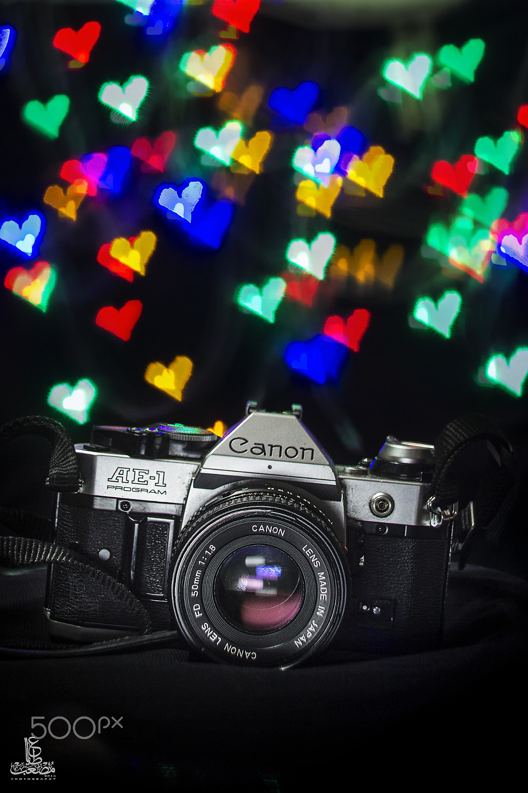 Canon EOS 600D (Rebel EOS T3i / EOS Kiss X5) + Canon EF 50mm F1.8 II sample photo. Love camera photography