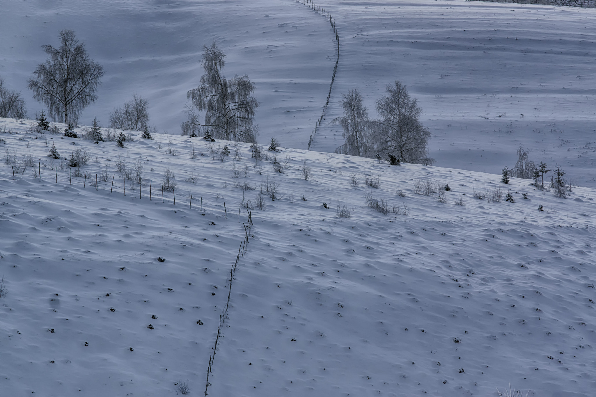 Sony SLT-A77 sample photo. Romanian stories - winter moods photography