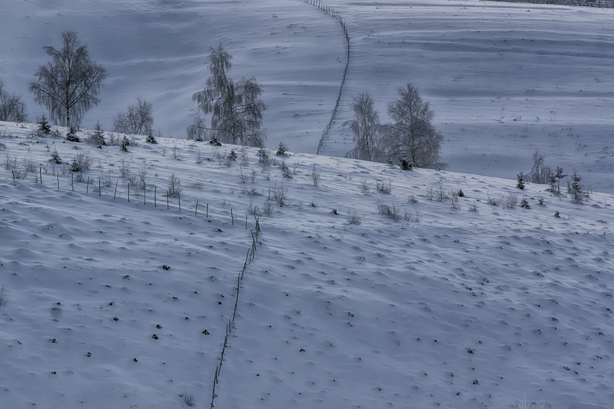 Sony SLT-A77 + Tamron SP AF 70-200mm F2.8 Di LD (IF) MACRO sample photo. Romanian stories - winter moods photography