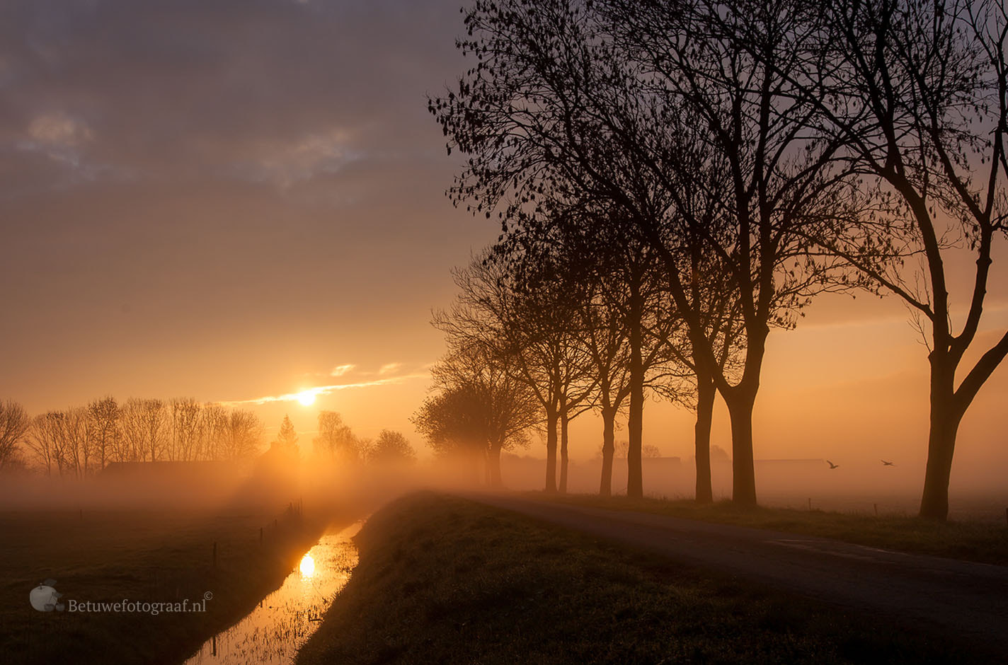 Sigma 24-105mm f/4 DG OS HSM | A sample photo. Dutch dawn...... photography