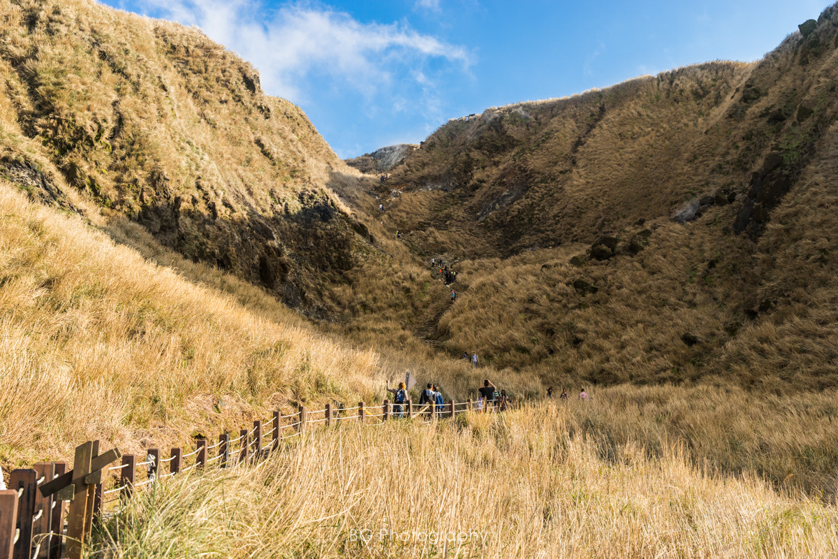 Sony a7 II + Canon EF 85mm F1.2L II USM sample photo. Golden valley. photography