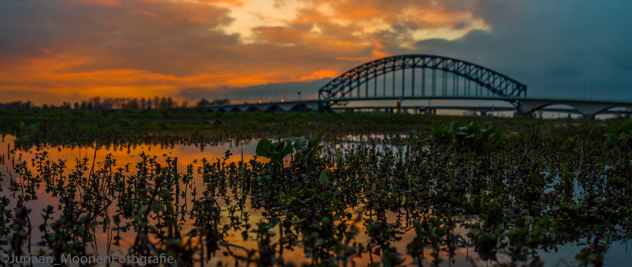 E 50mm F2 sample photo. The blue bridge photography