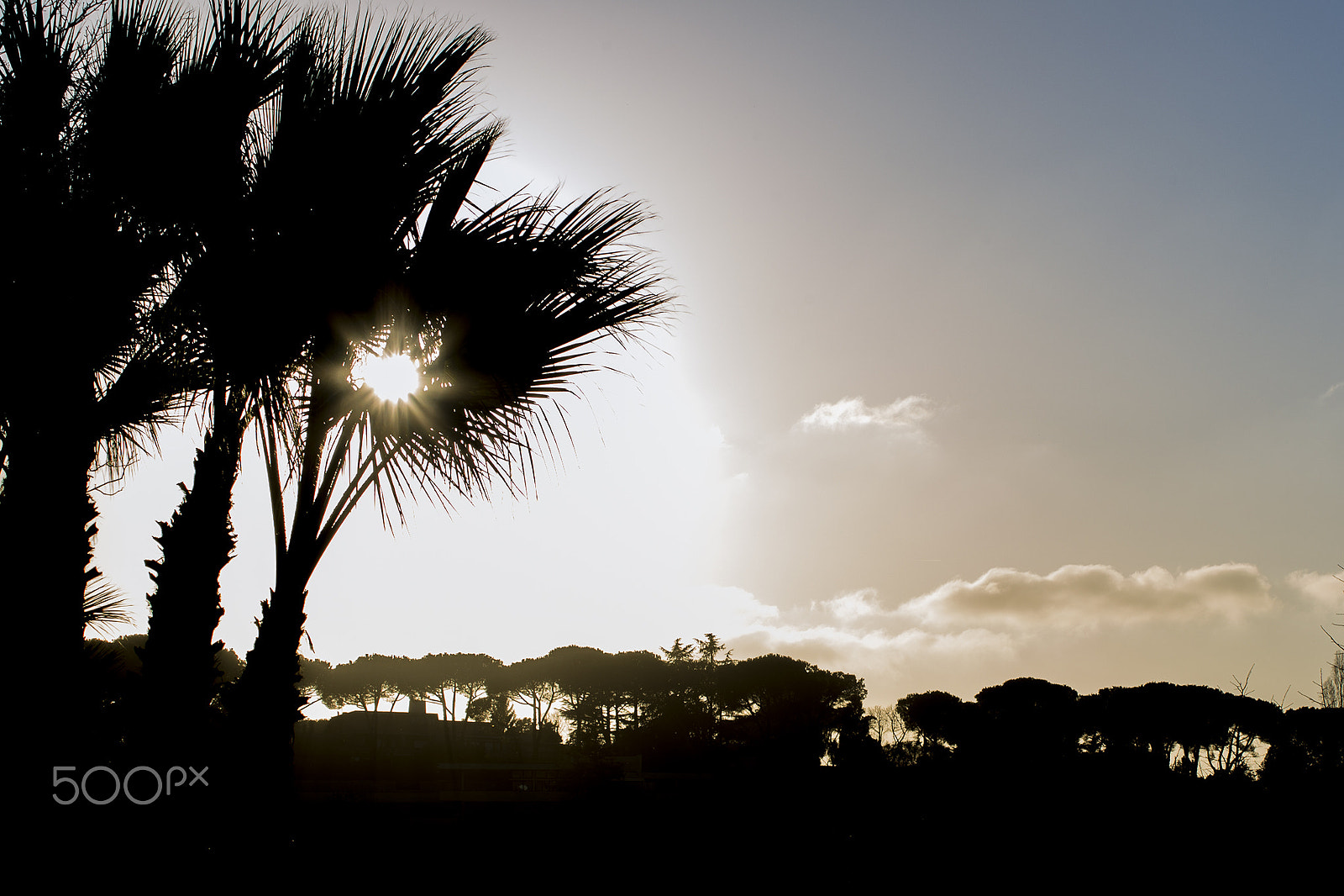 Canon EOS 6D + Canon EF 70-210mm f/4 sample photo. Silhouette photography