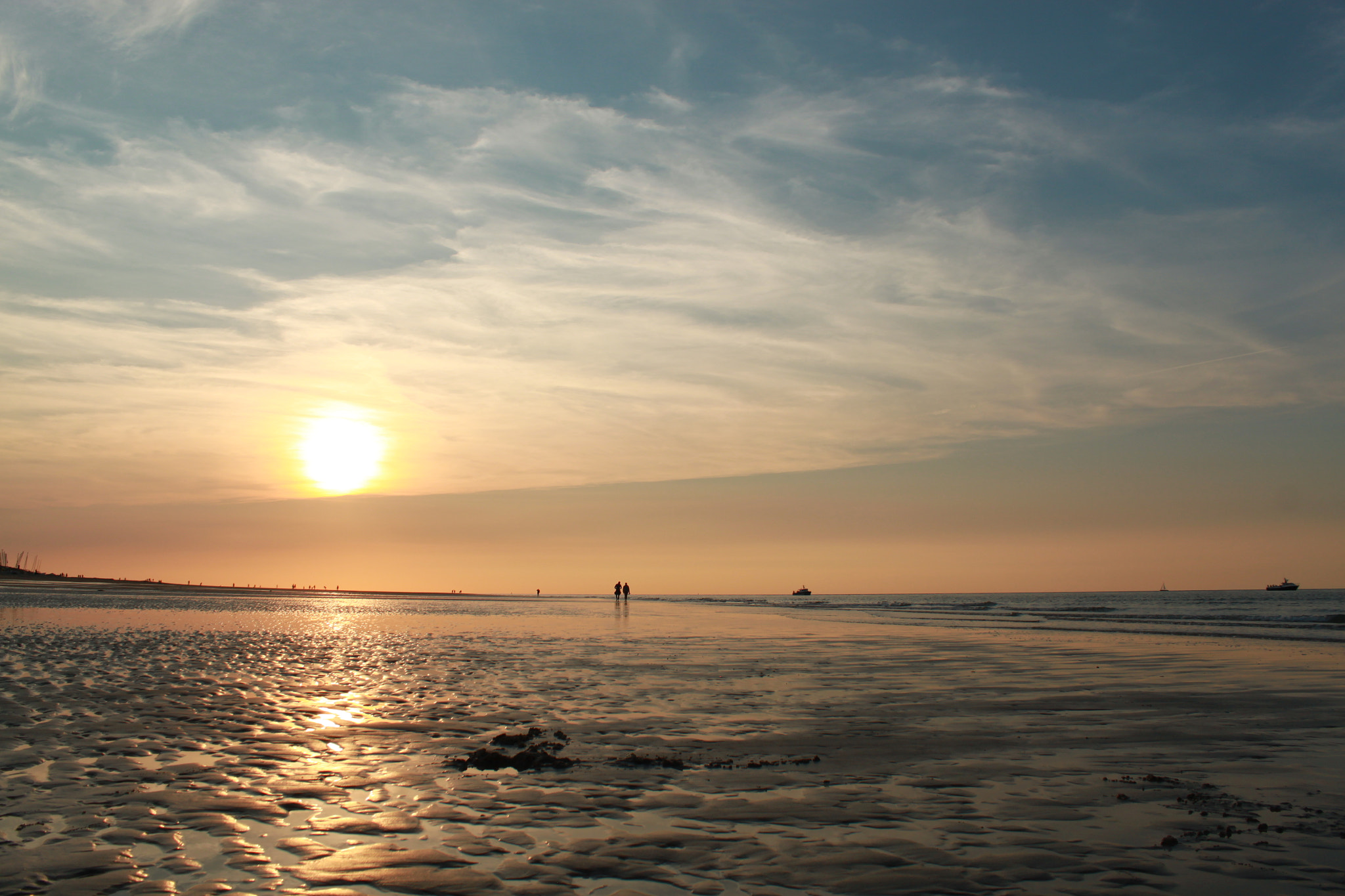 Canon EOS 500D (EOS Rebel T1i / EOS Kiss X3) + Canon EF 50mm f/1.8 sample photo. Vrouwenpolder, netherlands  photography