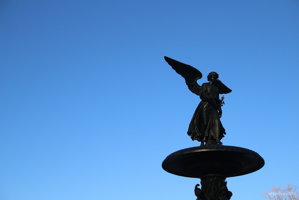 Sigma 17-70mm F2.8-4 DC Macro OS HSM sample photo. Nyc | bethesda fountain photography