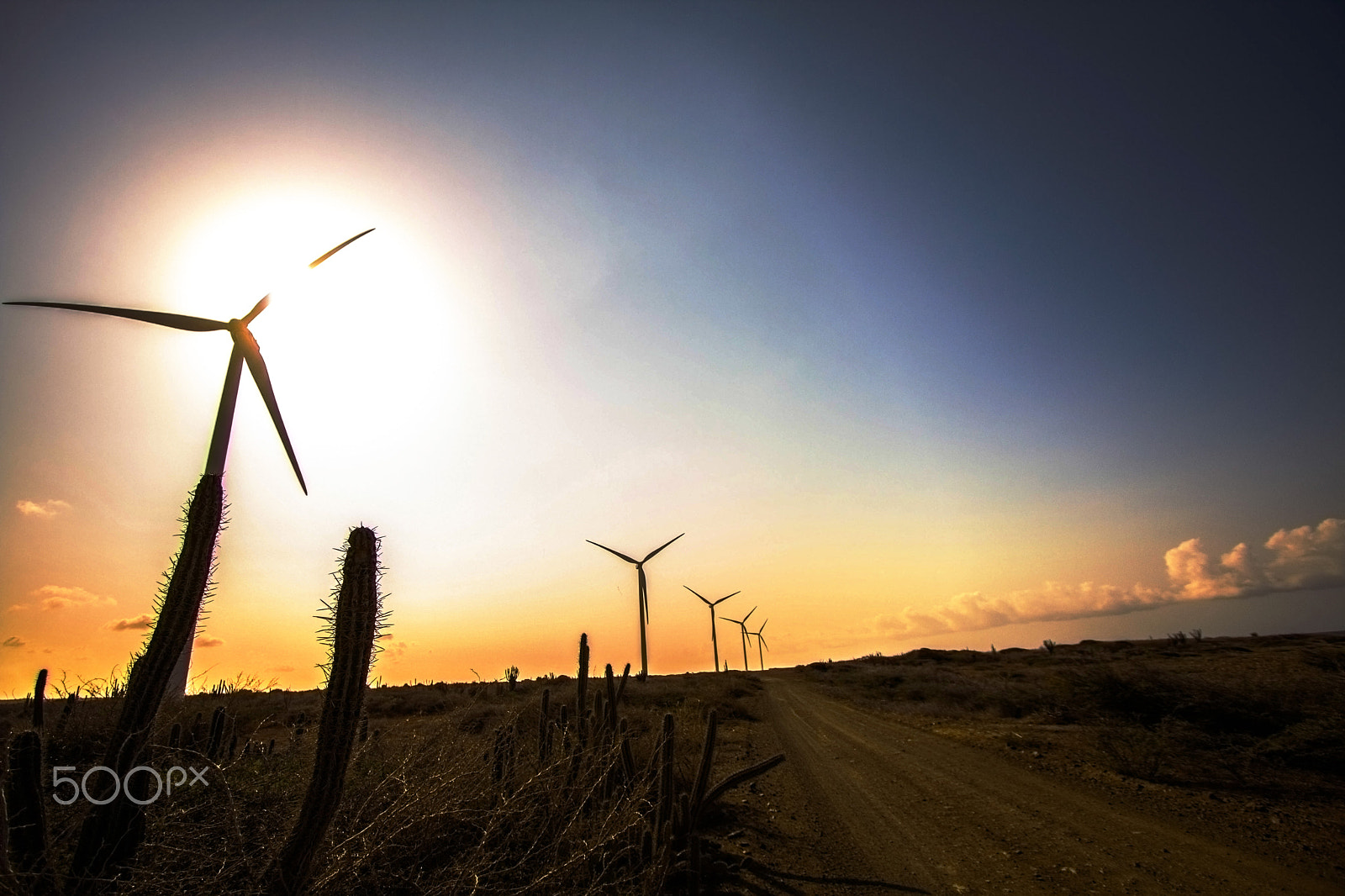 Canon EF-S 10-22mm F3.5-4.5 USM sample photo. Windmills photography