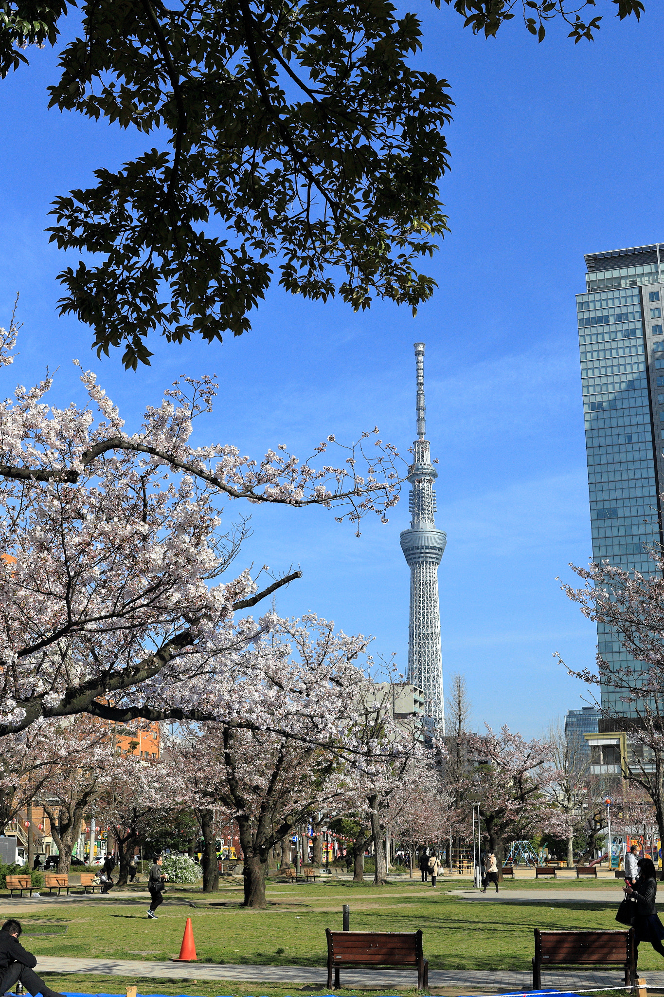 Canon EOS 100D (EOS Rebel SL1 / EOS Kiss X7) sample photo. Dpp photography