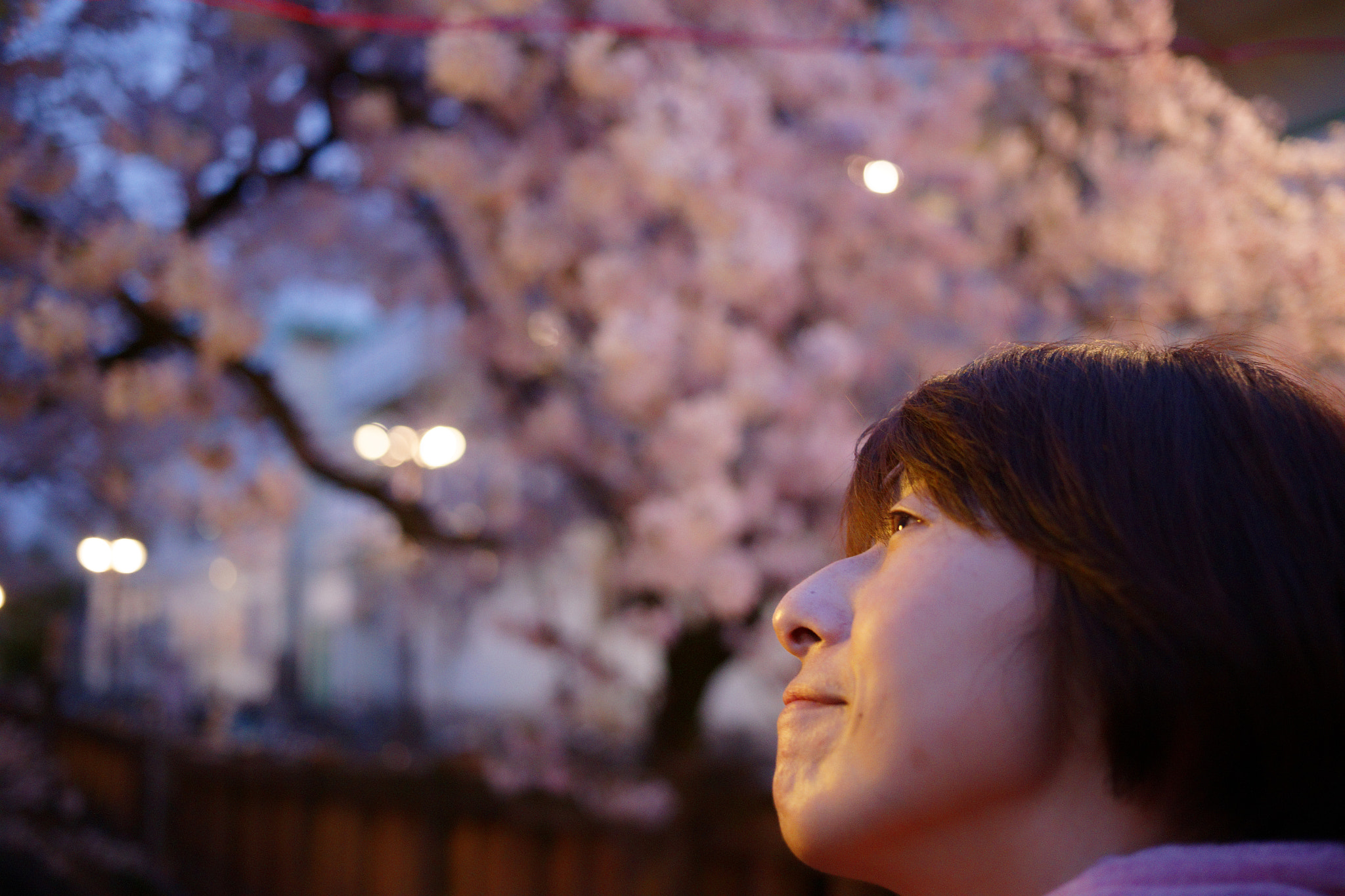 Canon EF 40mm F2.8 STM sample photo. Dxox photography