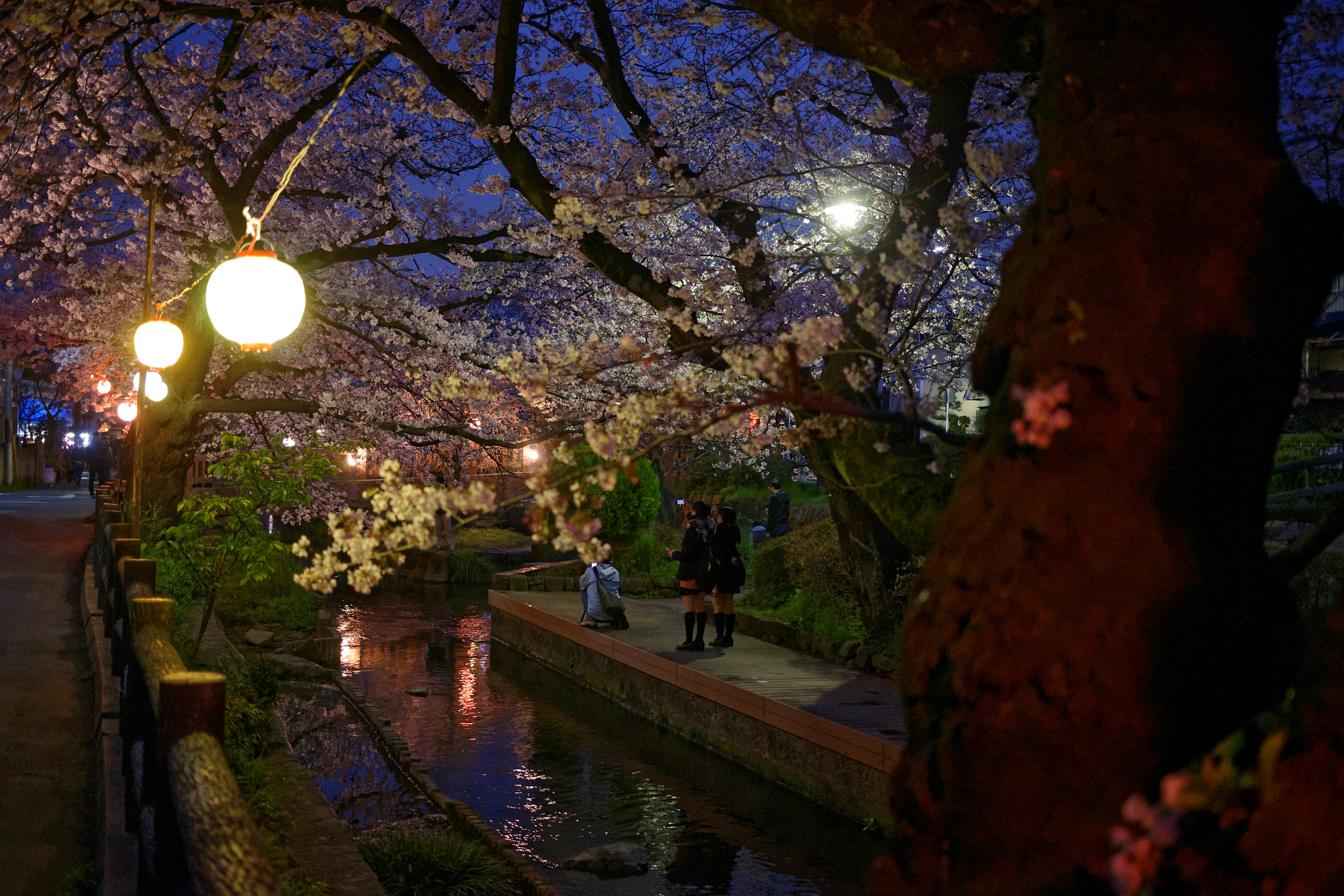 Canon EF 40mm F2.8 STM sample photo. Dxo(prime) photography