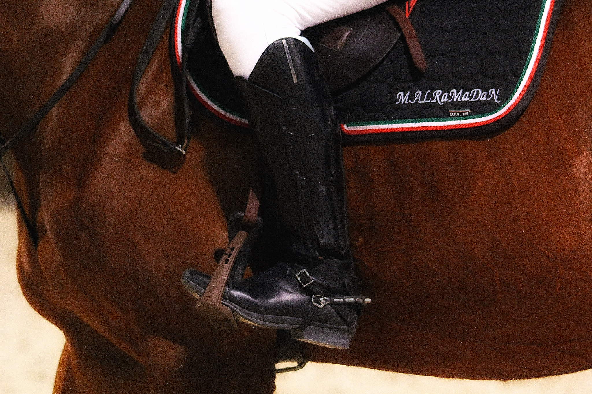 Canon 150-500mm sample photo