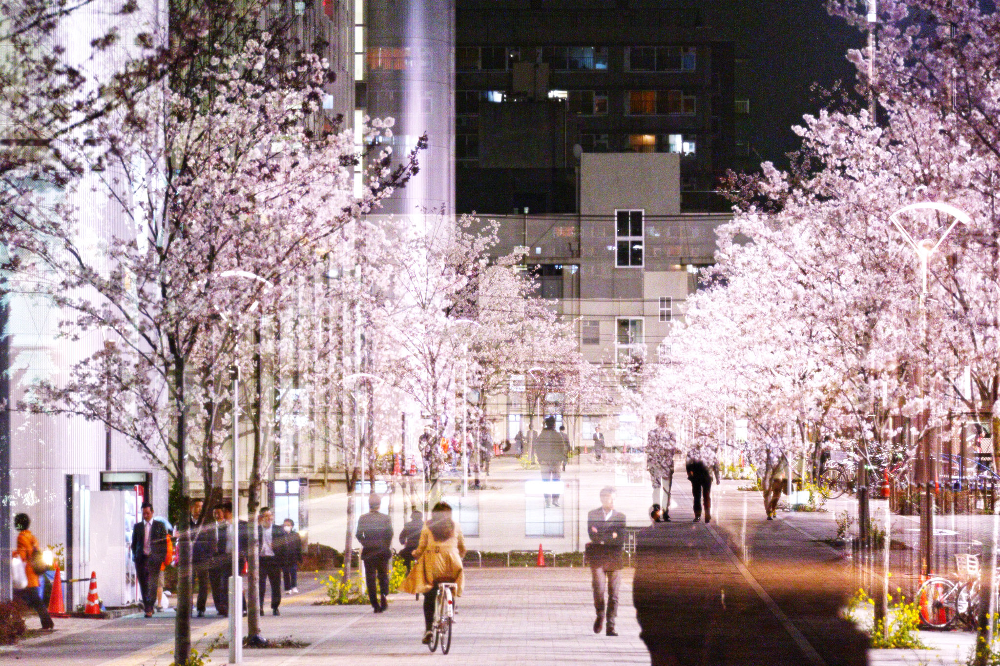 Panasonic Lumix DMC-G5 sample photo. Dxoxretina photography