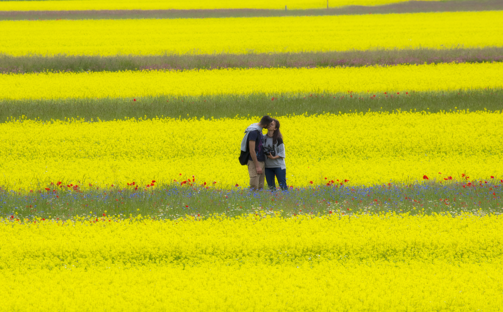 Canon EOS-1D Mark III sample photo. Kissing in castelluccio photography