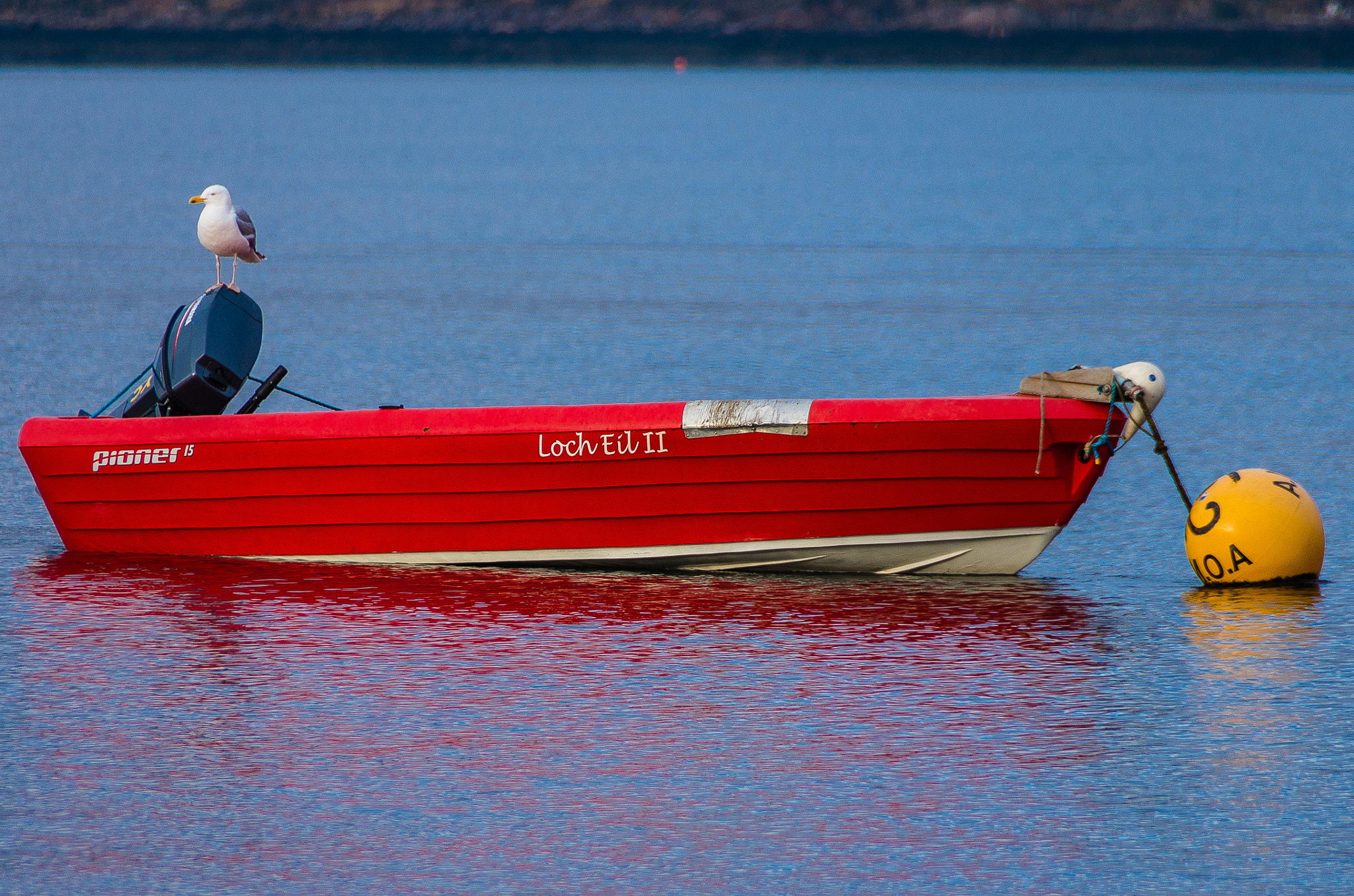 Pentax K-5 IIs sample photo. Seagull on a boat photography