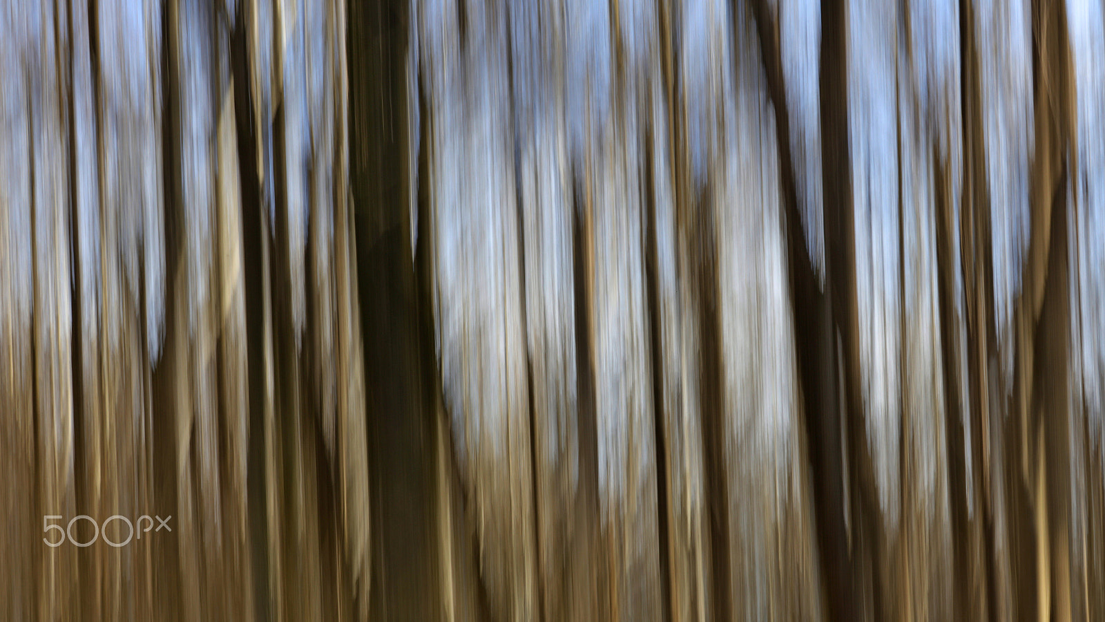 Canon EF 100-400mm F4.5-5.6L IS II USM sample photo. Trees in motion photography